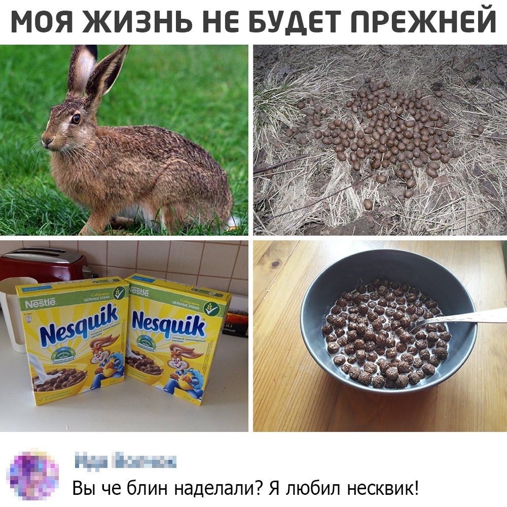 Why do you think there is a bunny on the package... - Humor, Picture with text, Memes, Nesquik