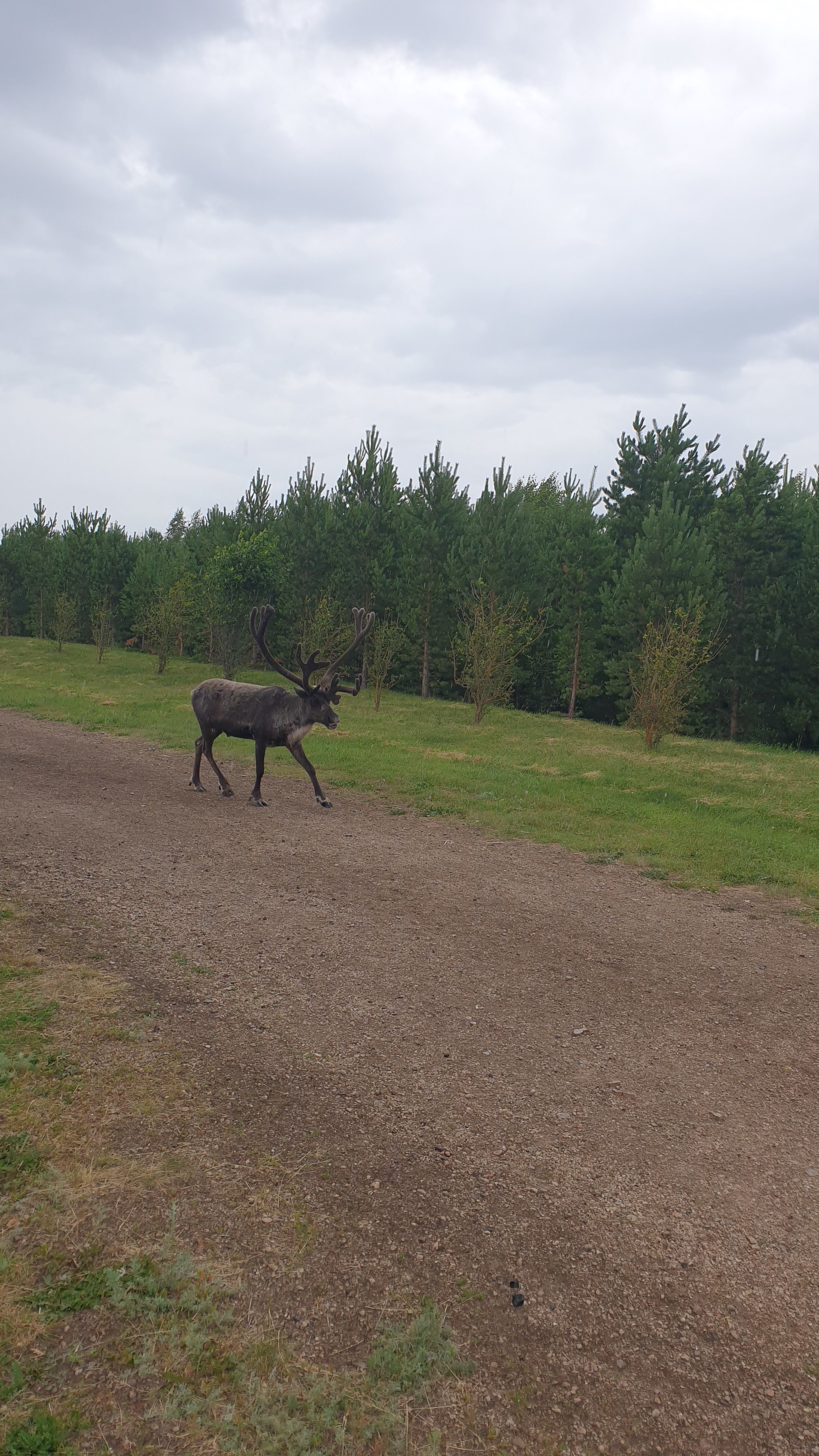 Journey to the Moon and back. Notes. Orenburg region - Orenburg, Steppe, Poems, Longpost, Nature, Tourism, Notes