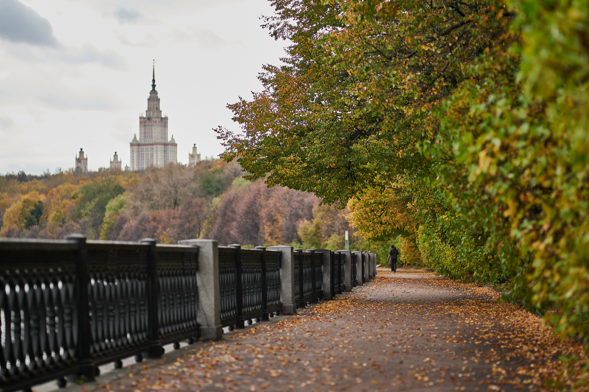 Набережная Москвы осенью