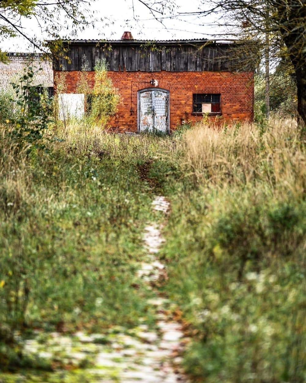 Abandoned military unit in Gorodkovo (Kaliningrad region) - Kaliningrad, Kaliningrad region, Story, The photo, Military unit, Longpost