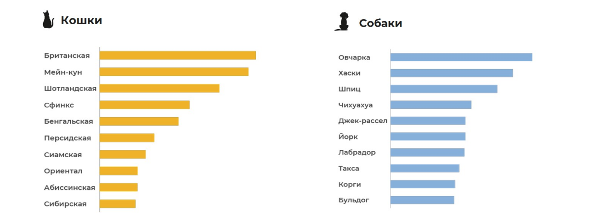 Cats vs dogs: who do social network users prefer? - cat, Cats and dogs together, Dog, Social networks, Research, Statistics, The national geographic, Longpost