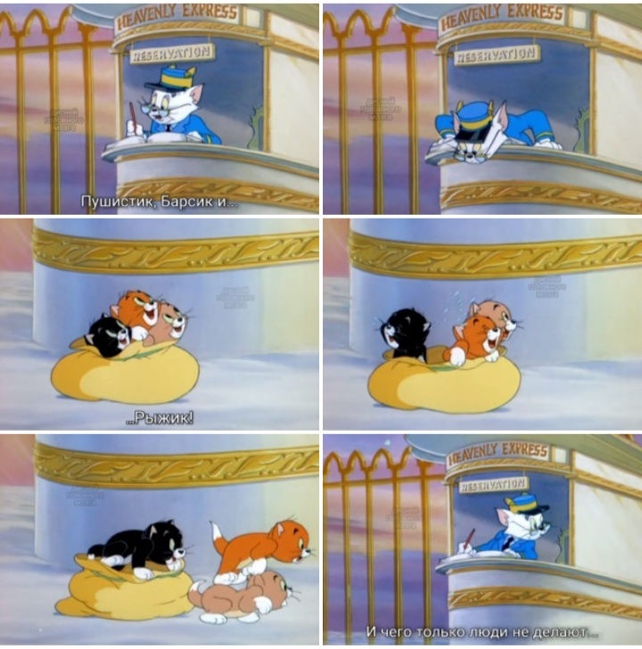 Poor kittens! - Tom and Jerry, Kittens, cat