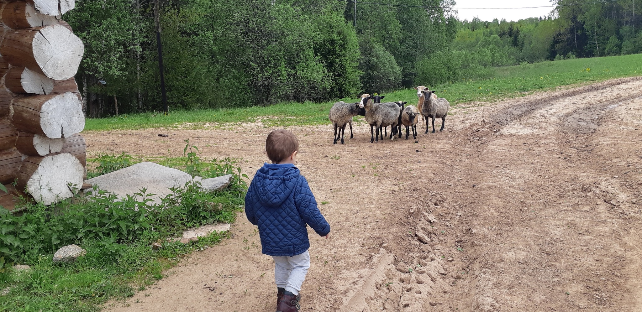 Traveling by car with a child to Altai! - My, Travel across Russia, Travels, Road, Driving, Car, Longpost