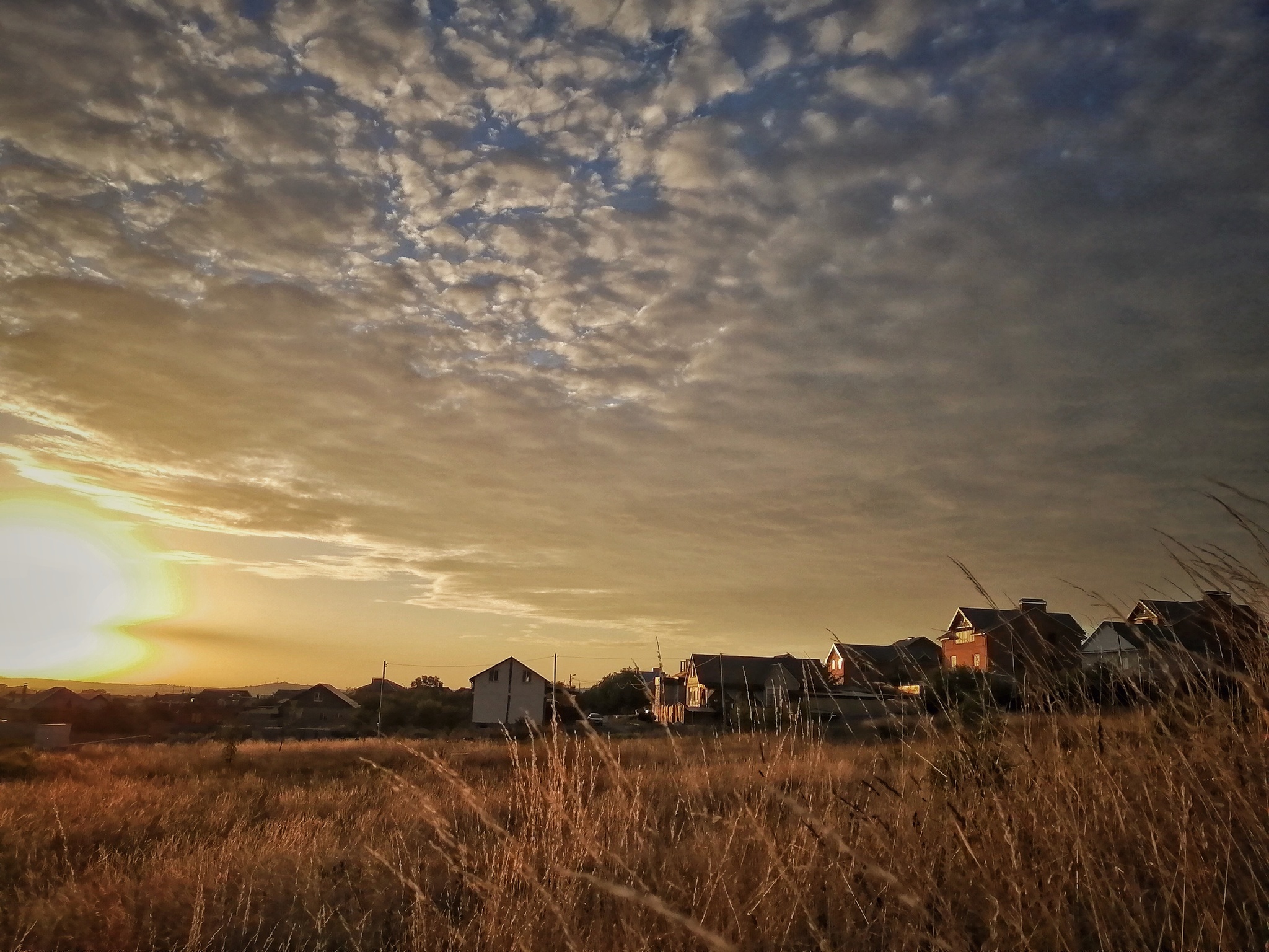 Road landscapes - My, Road, Mobile photography, Nature, Landscape, dawn, Longpost