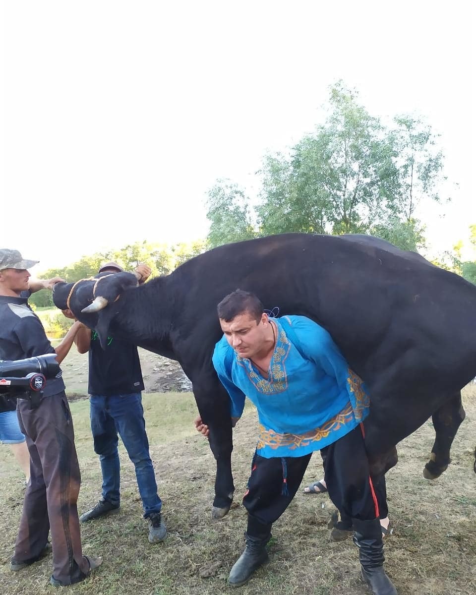 How does he lift a 600 kg bull? Records of the hero Khaladzhi from Donbass - My, Power, Strongman, Power Extreme, Guinness Book of Records, Workout, Kettlebell sport, Ivan Poddubny, Bogatyr, Athletes, Video, Longpost