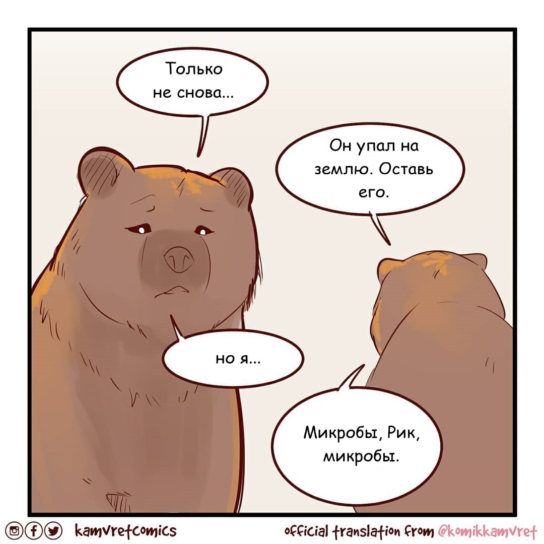 Встреча с медведем | Пикабу