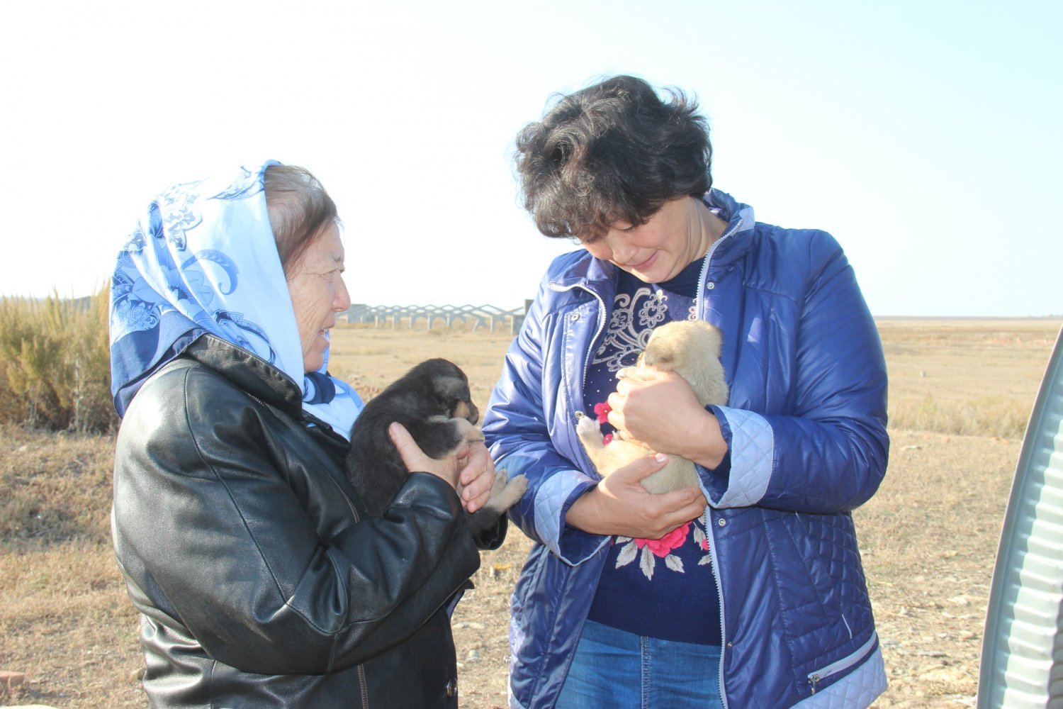 “They even feel sorry for the bullets on us - it’s easier to kill us”: how a Saratov village survives after the mysterious disappearance of water pipes - Russia, Saratov region, Officials, People, Water, Hopelessness, Longpost