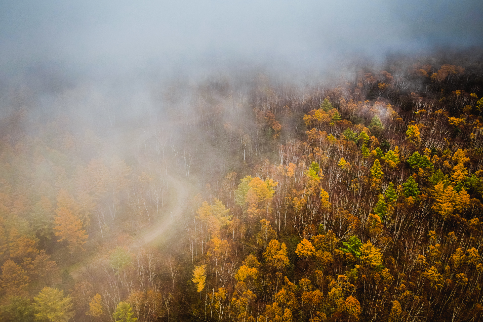 I love fog! - My, Yuzhno-Sakhalinsk, Mountain air, Town, Drone, Nature, Forest, Fog, Beams, The sun, Morning, Atmosphere, Contemplation, Landscape, Autumn, Longpost