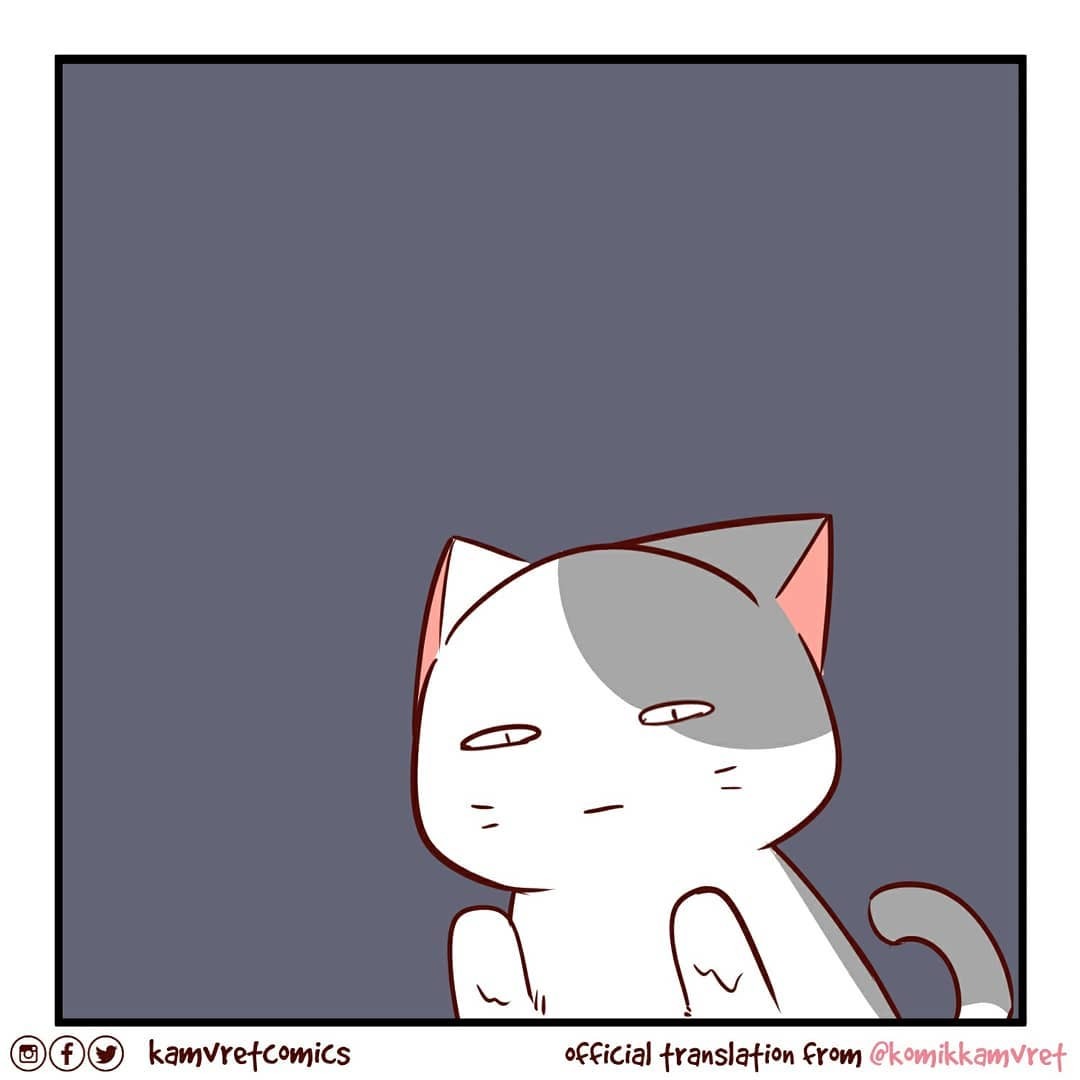 Cat problems - Comics, Komikkamvret, cat, Wash your hands, Hygiene, Longpost, Translated by myself