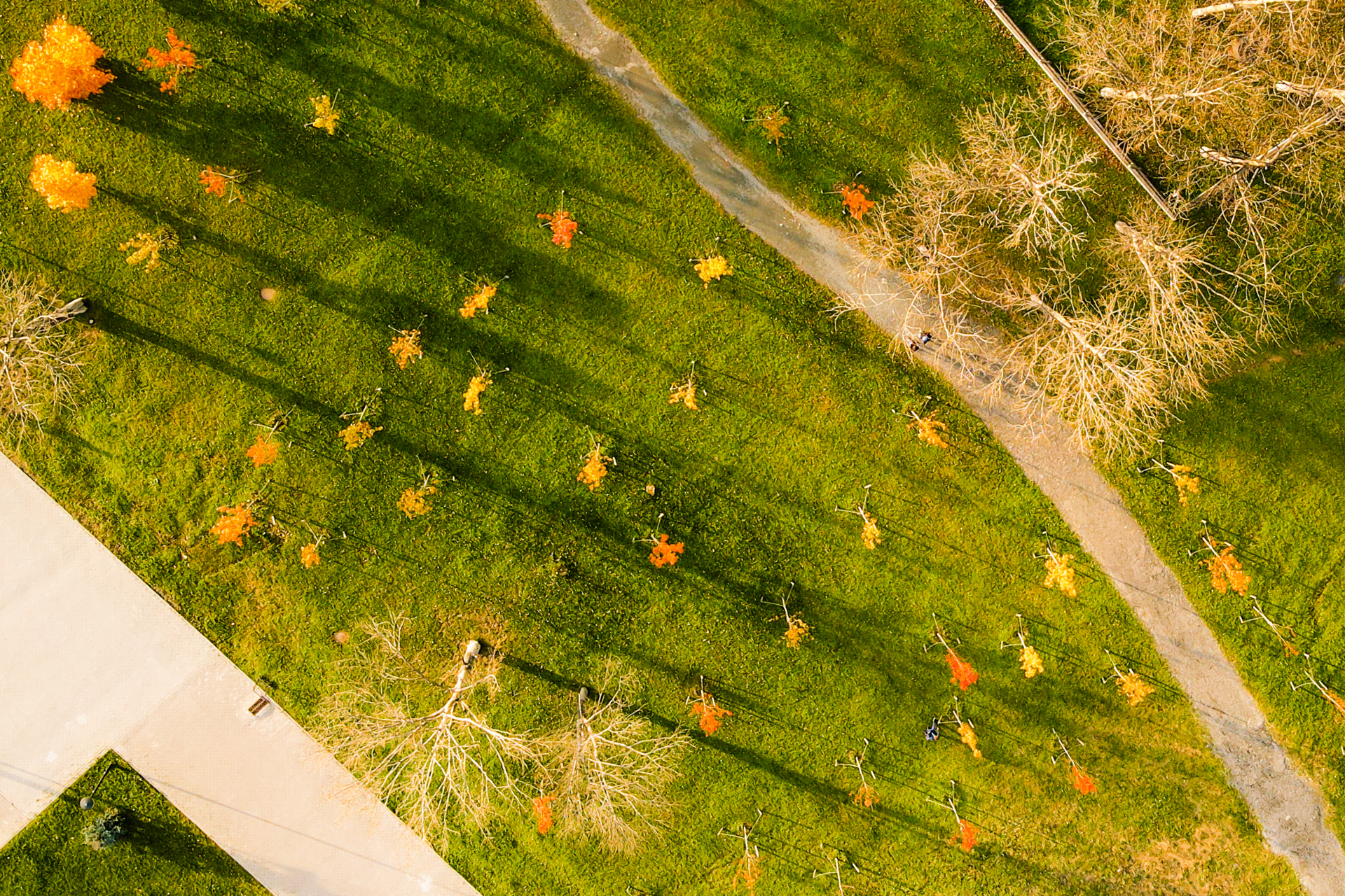 Southern in the sunset - My, Town, Drone, Yuzhno-Sakhalinsk, Sunset, Landscape, Longpost, Quadcopter