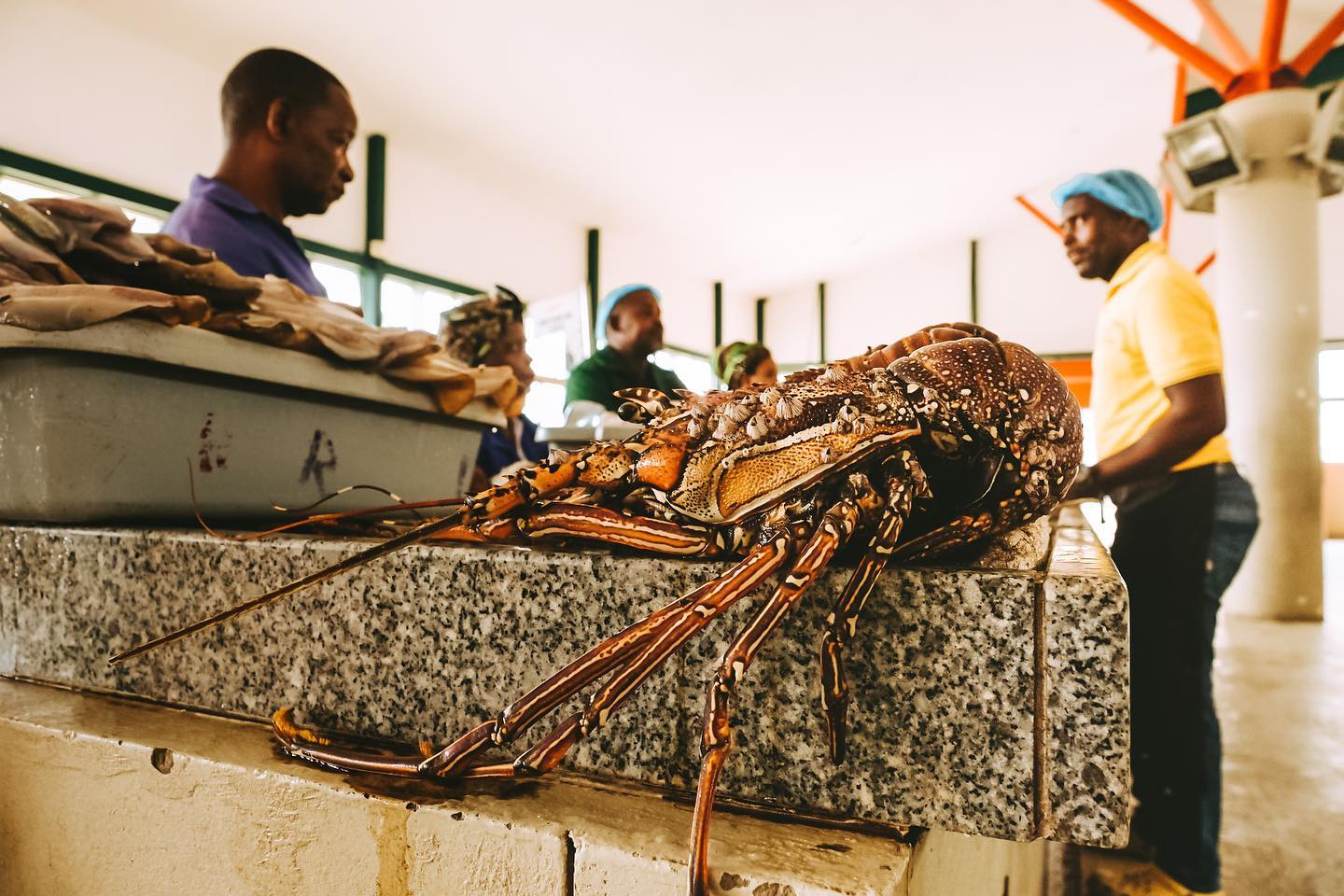 Fish market in Mozambique - My, The photo, Mozambique, Travels, Longpost