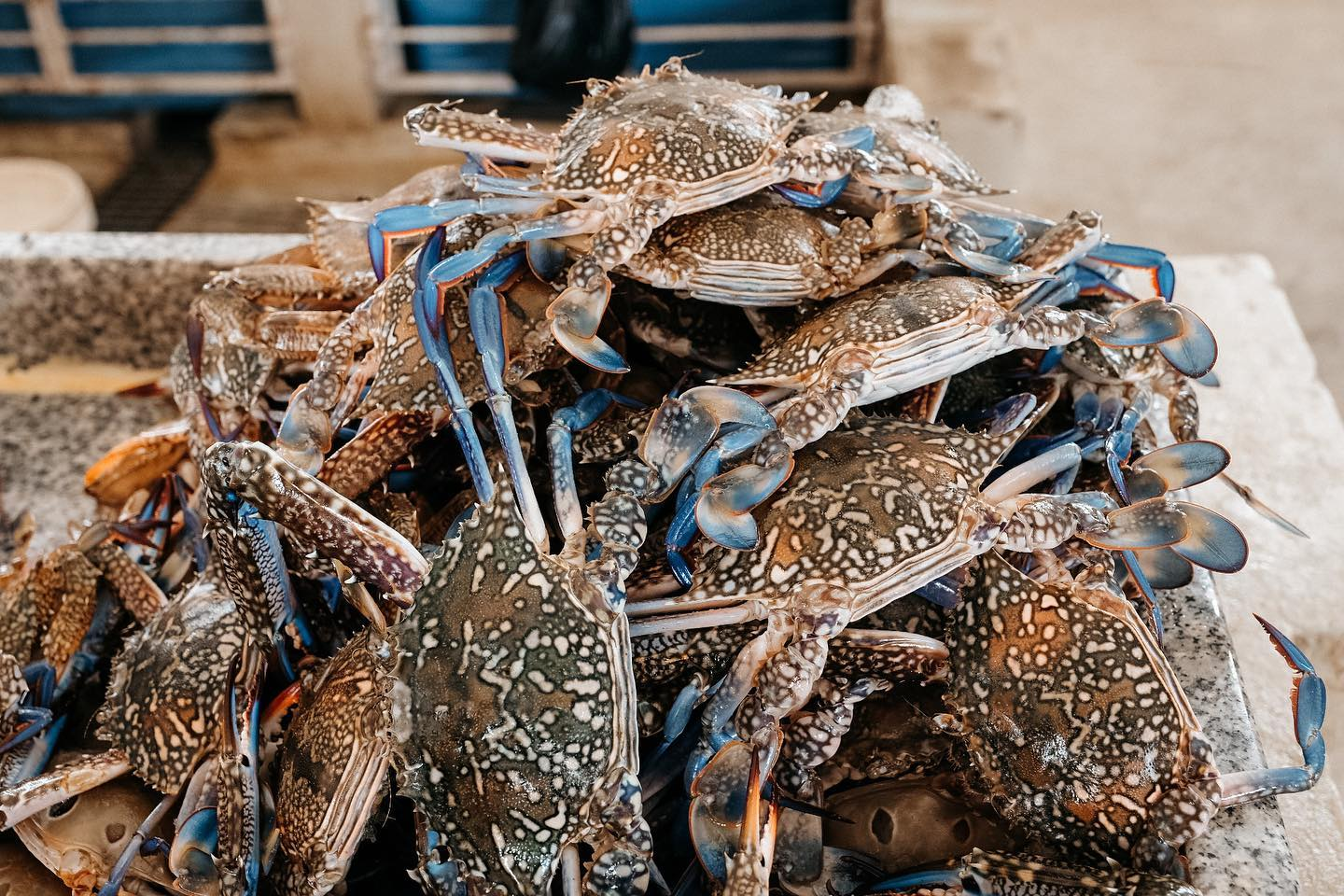 Fish market in Mozambique - My, The photo, Mozambique, Travels, Longpost