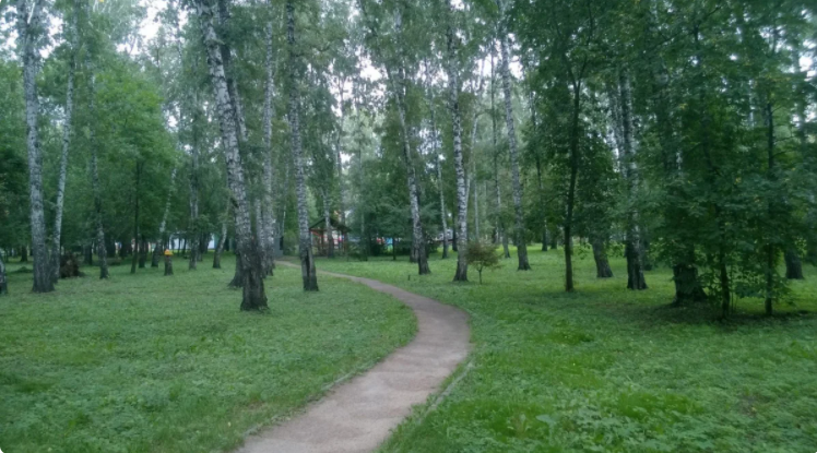 Map of ancient cemeteries of Novosibirsk: find out if your house is standing on bones - My, Story, Cemetery, Novosibirsk, Local history, Longpost