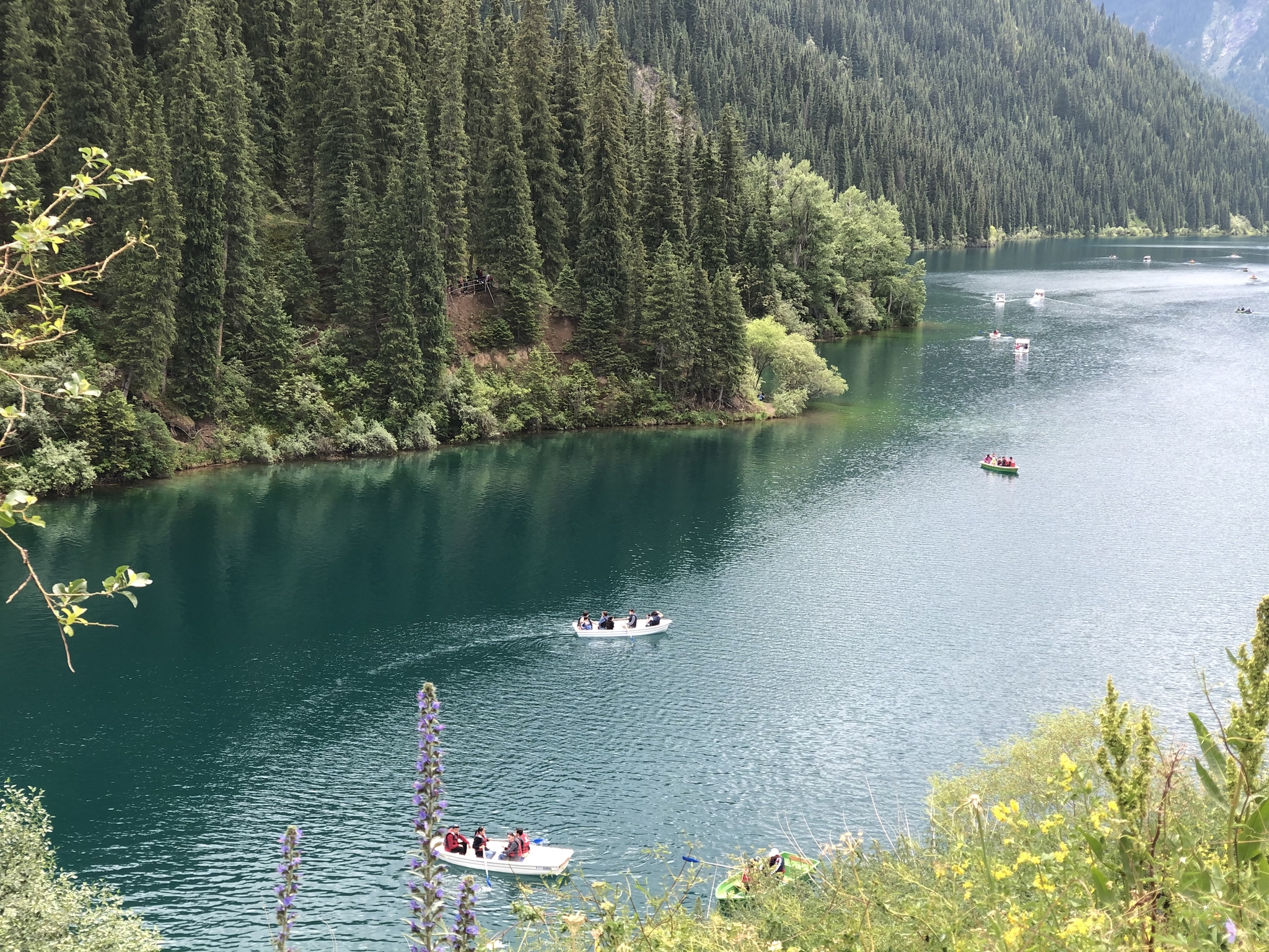 Kolsai Lake in Almaty region - My, Memories, Travels, Kazakhstan, Almaty, Longpost