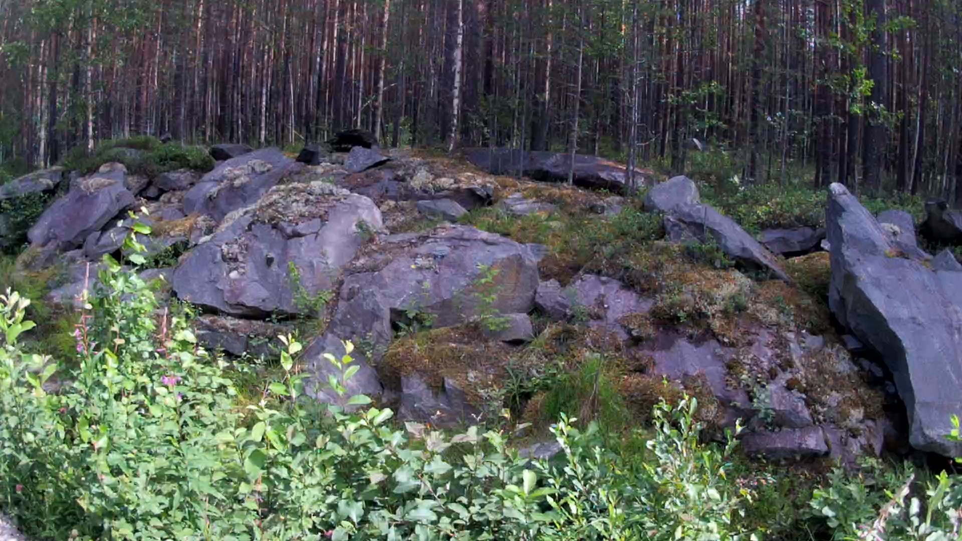 Одиночный пеший поход / Карелия: Летнереченский - Беломорск - Моё, Пешком, Трекинг, Хобби, Путешествия, Поход, Карелия, Беломорск, Длиннопост, Видео, Пятничный тег моё