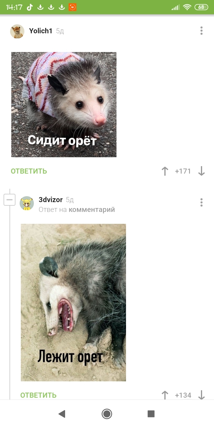 Briefly about possums - Humor, Comments, Opossum, Longpost, Comments on Peekaboo, Screenshot