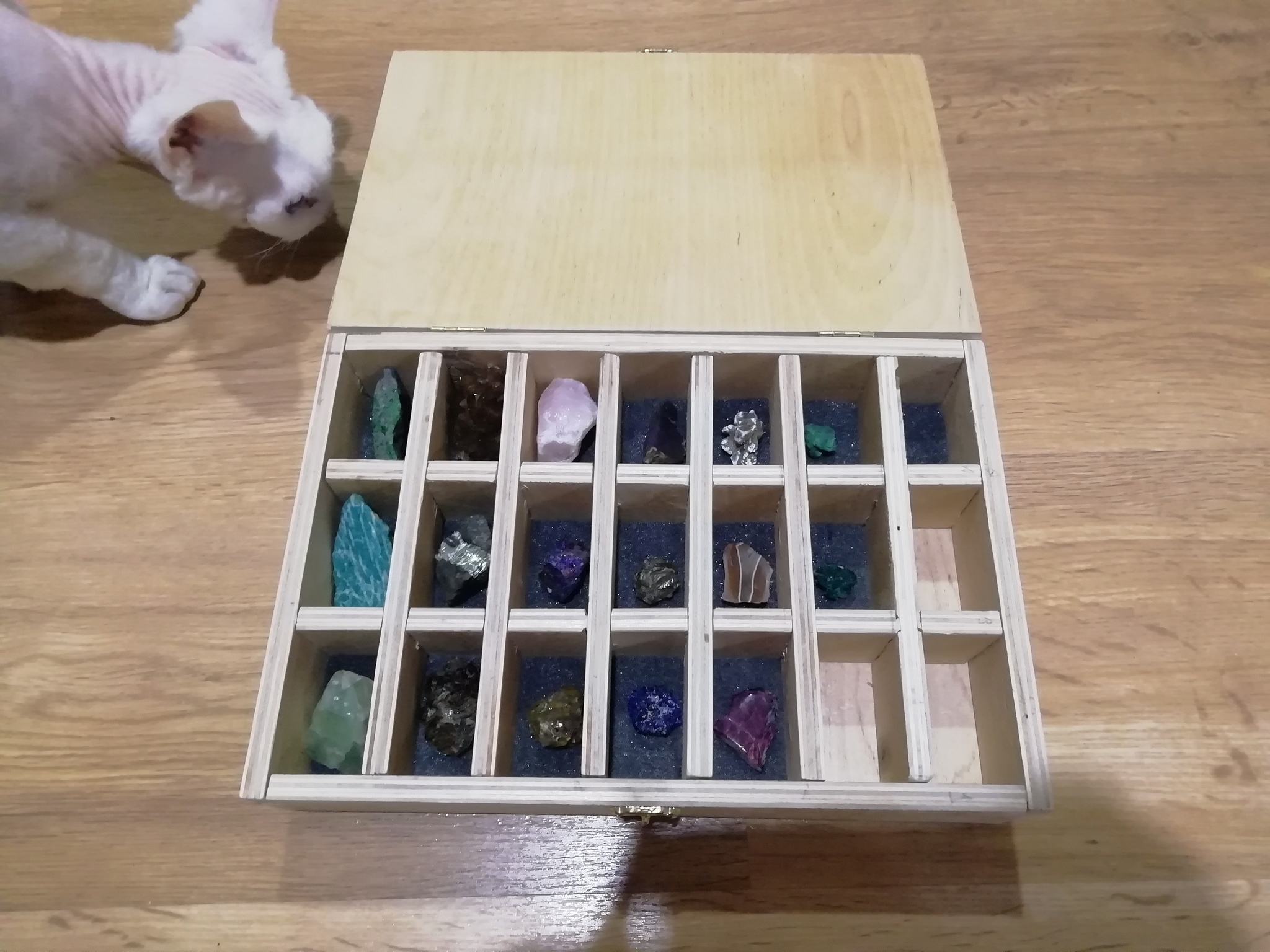 Mineral Box #2 (now with lid) - My, With your own hands, Minerals, cat, Wood products, Longpost, Needlework with process