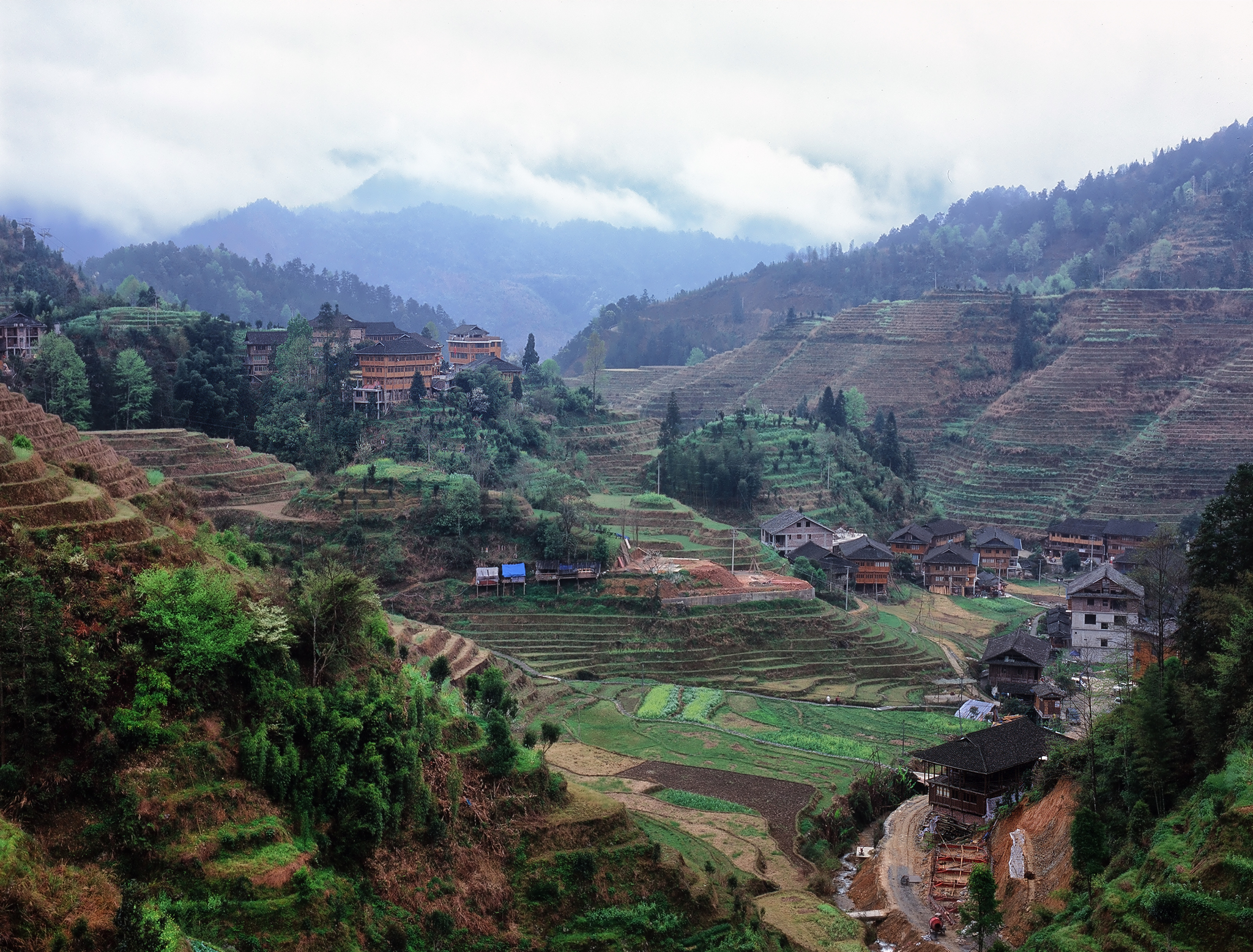 China: Longji Rice Terraces - My, China, Guilin, Rice terraces, Travels, The photo, Bird photography, Longpost