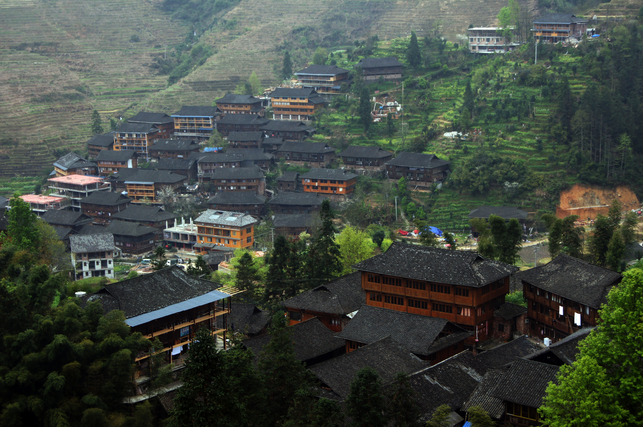 China: Longji Rice Terraces - My, China, Guilin, Rice terraces, Travels, The photo, Bird photography, Longpost