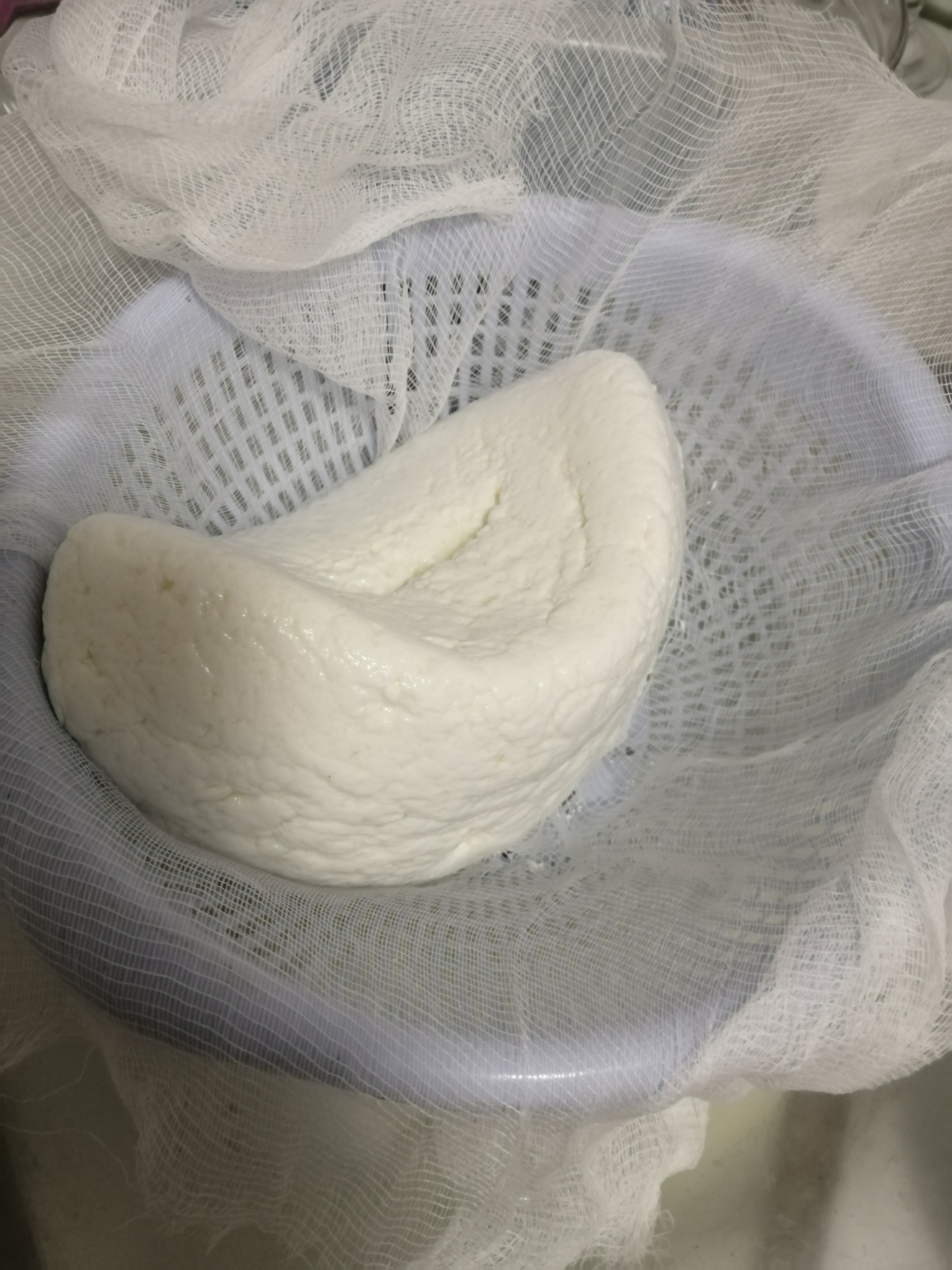 How I decided to make cheese - My, Cheese, Recipe, Longpost, Cooking