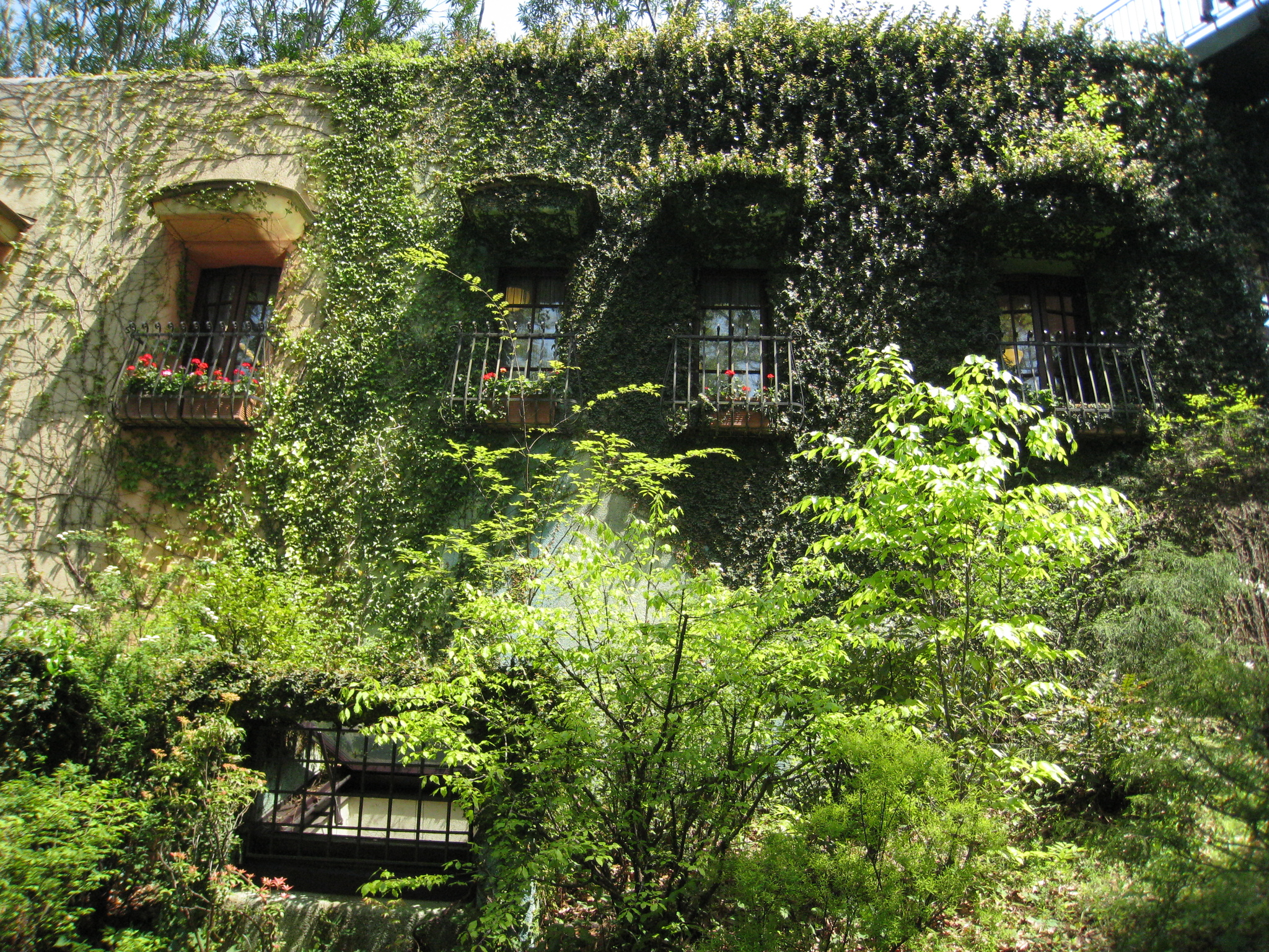 The Studio Ghibli Museum as a Work of Art - My, Studio ghibli, Travels, Japan, Longpost