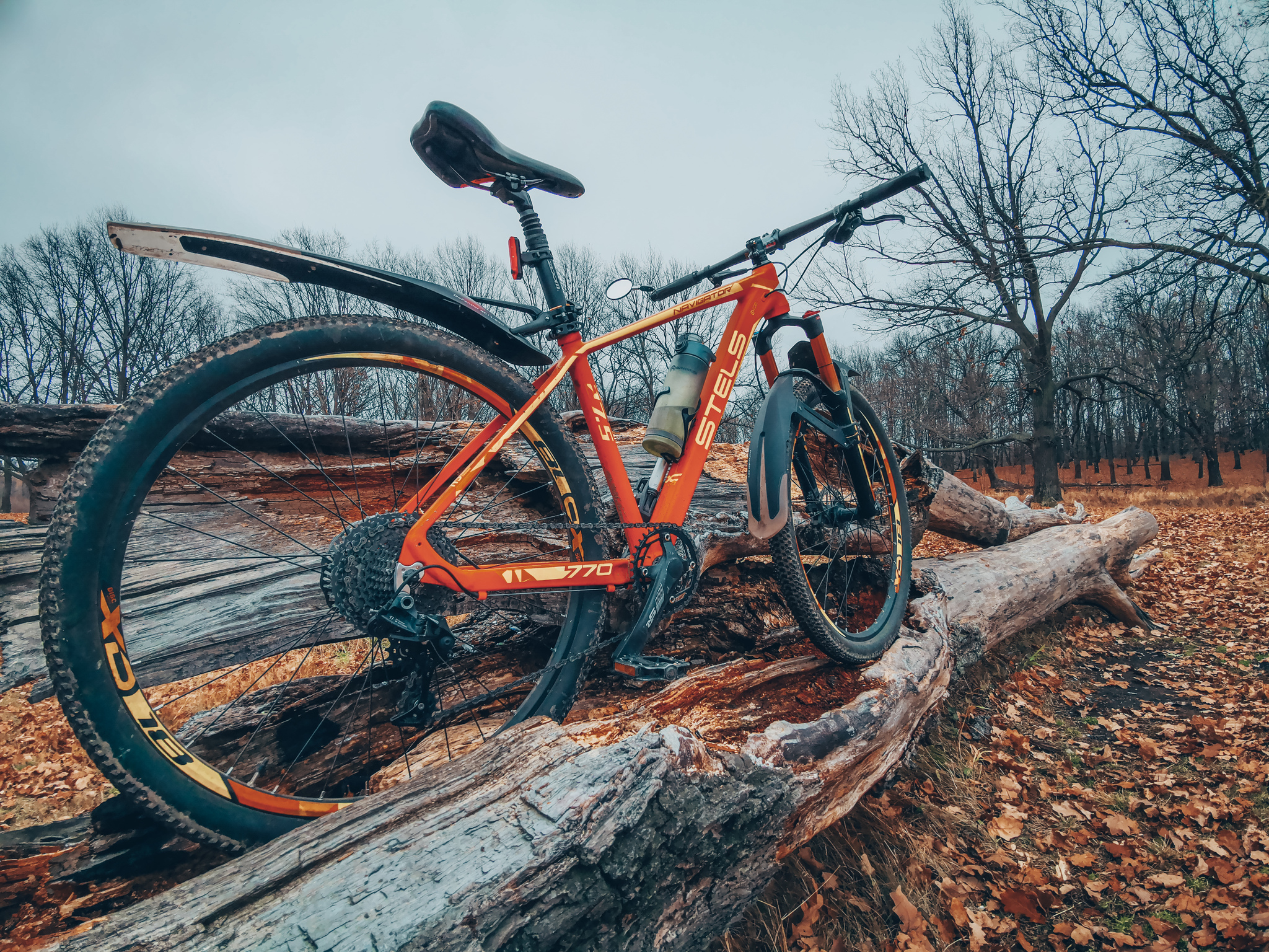 Morning, Sunday - My, Mobile photography, A bike, Autumn, Longpost