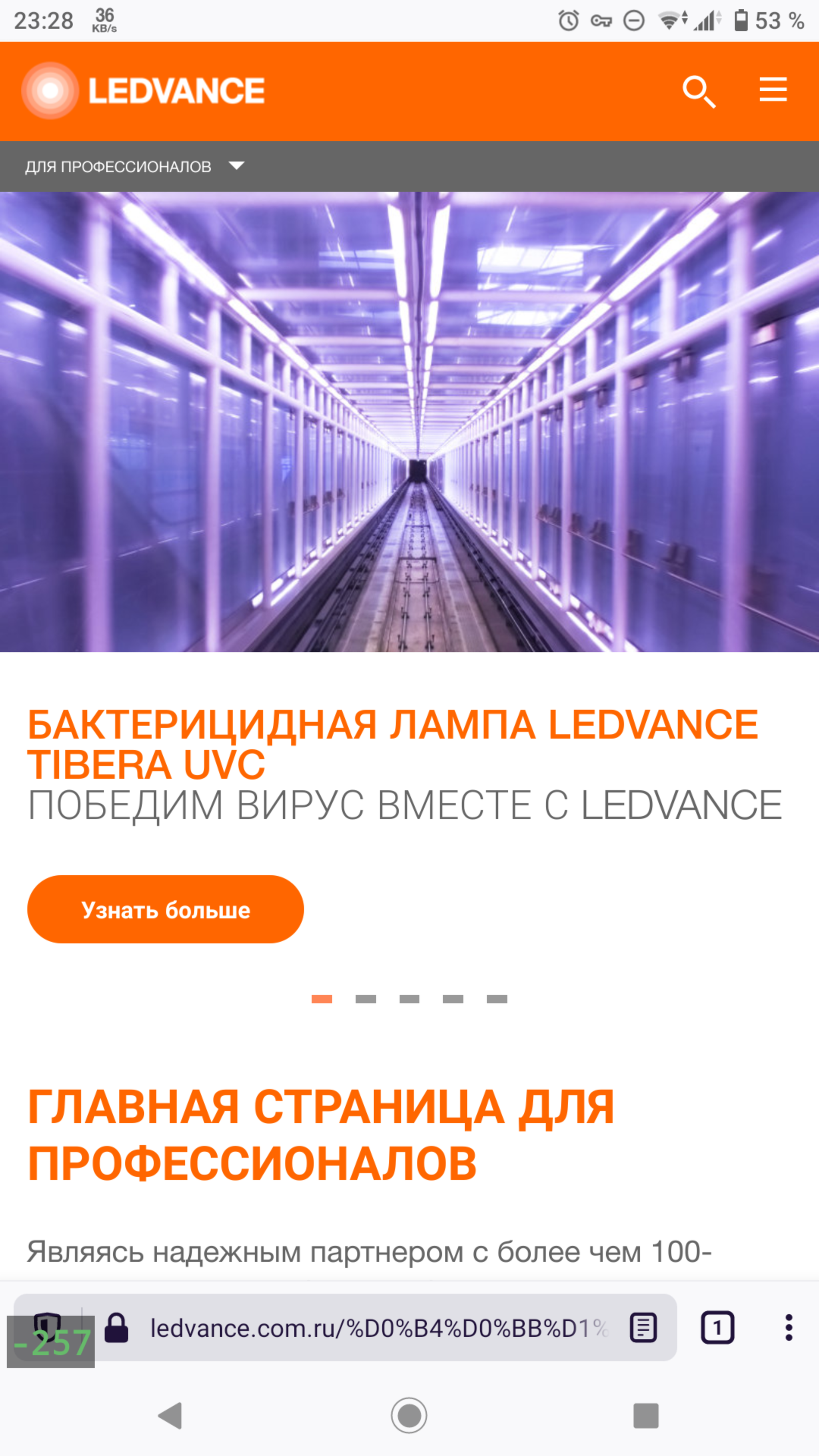 Home page Osram Russia lamps - My, Лампа, Web, Virus