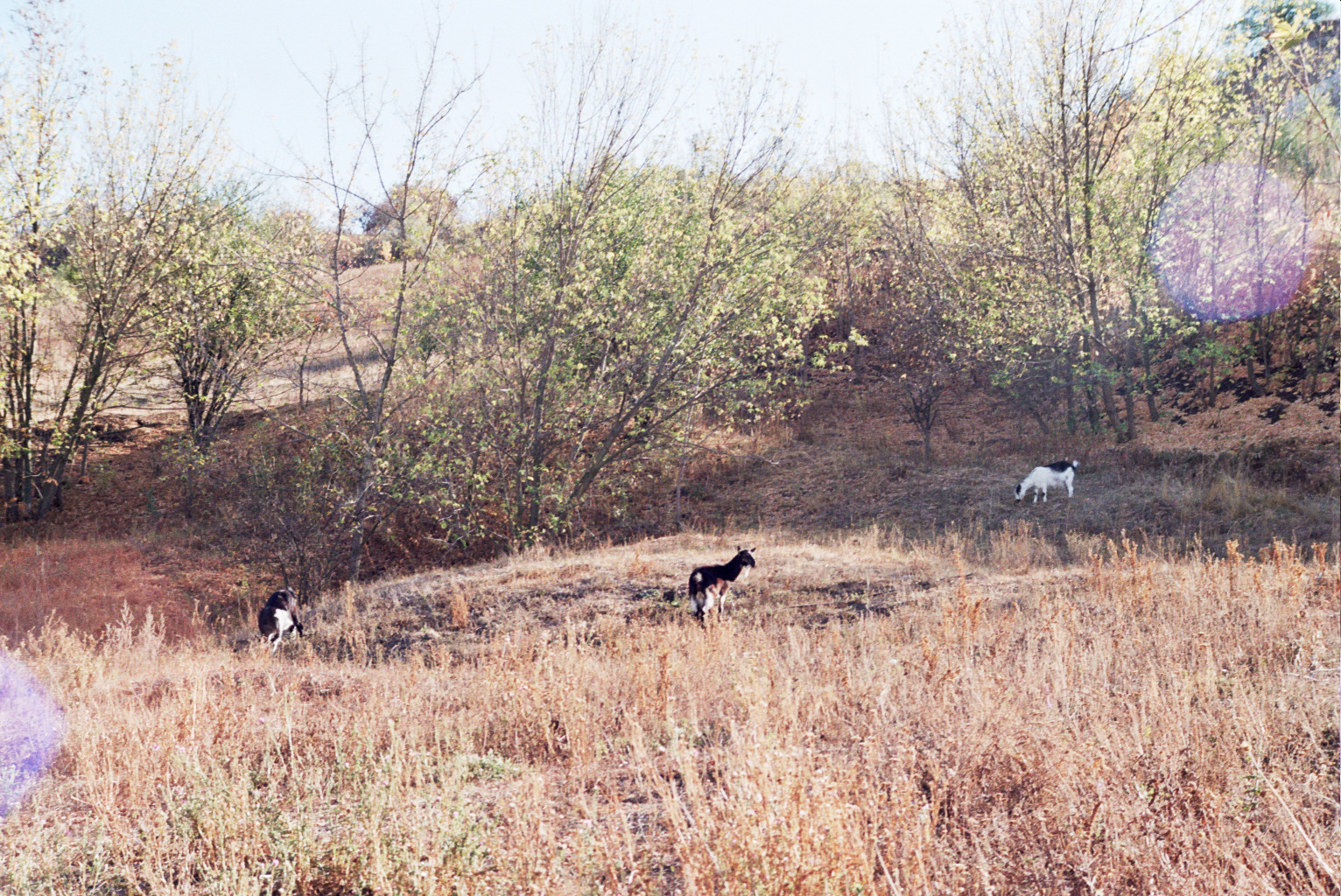 Slavyansk and its chalk mountains - My, Kodak, Landscape, The photo, Retro, Longpost