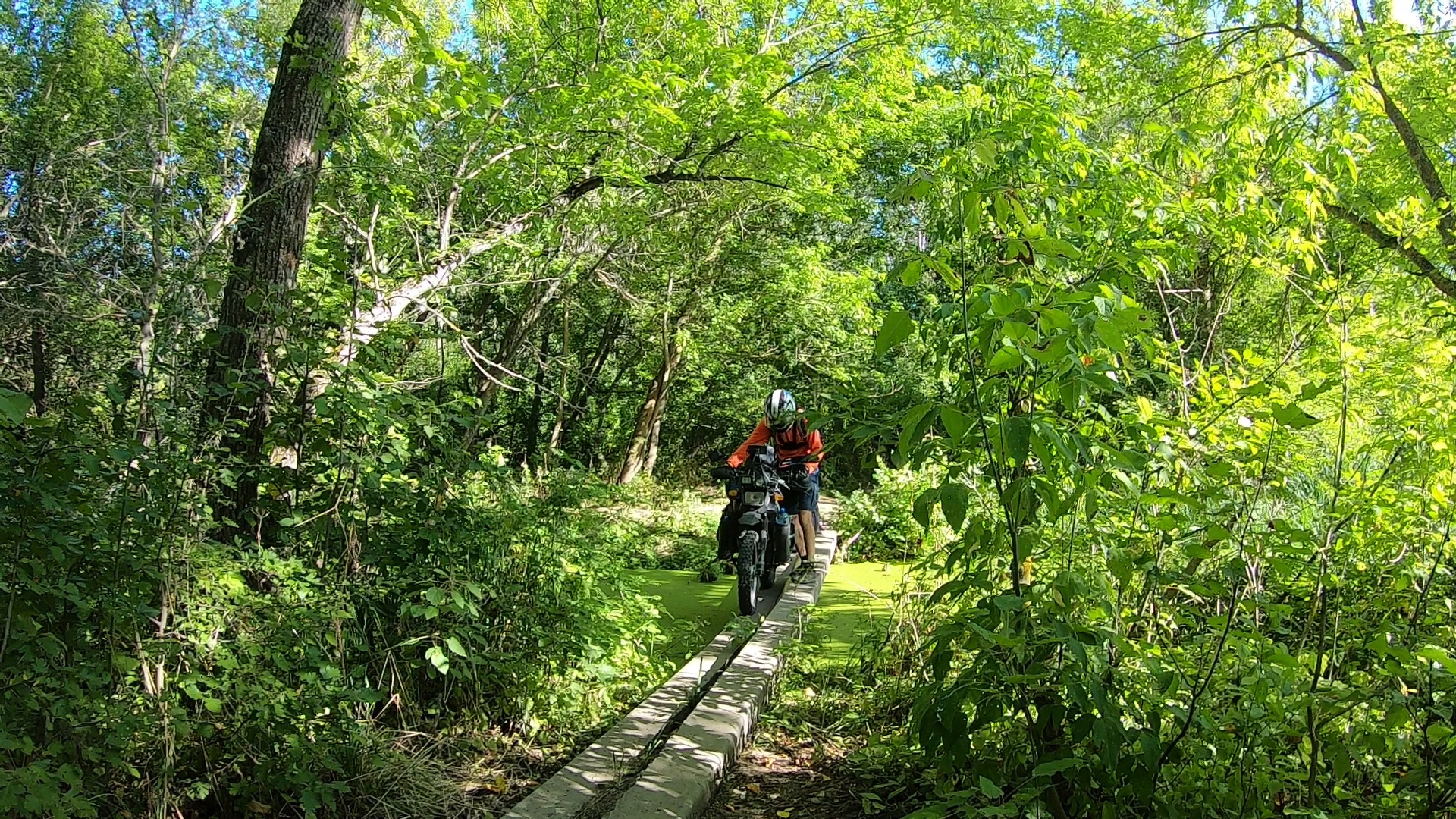 Motorcycle trip with a child. Trying the format, driving along the river - My, Moto, Travels, Adventures, Longpost