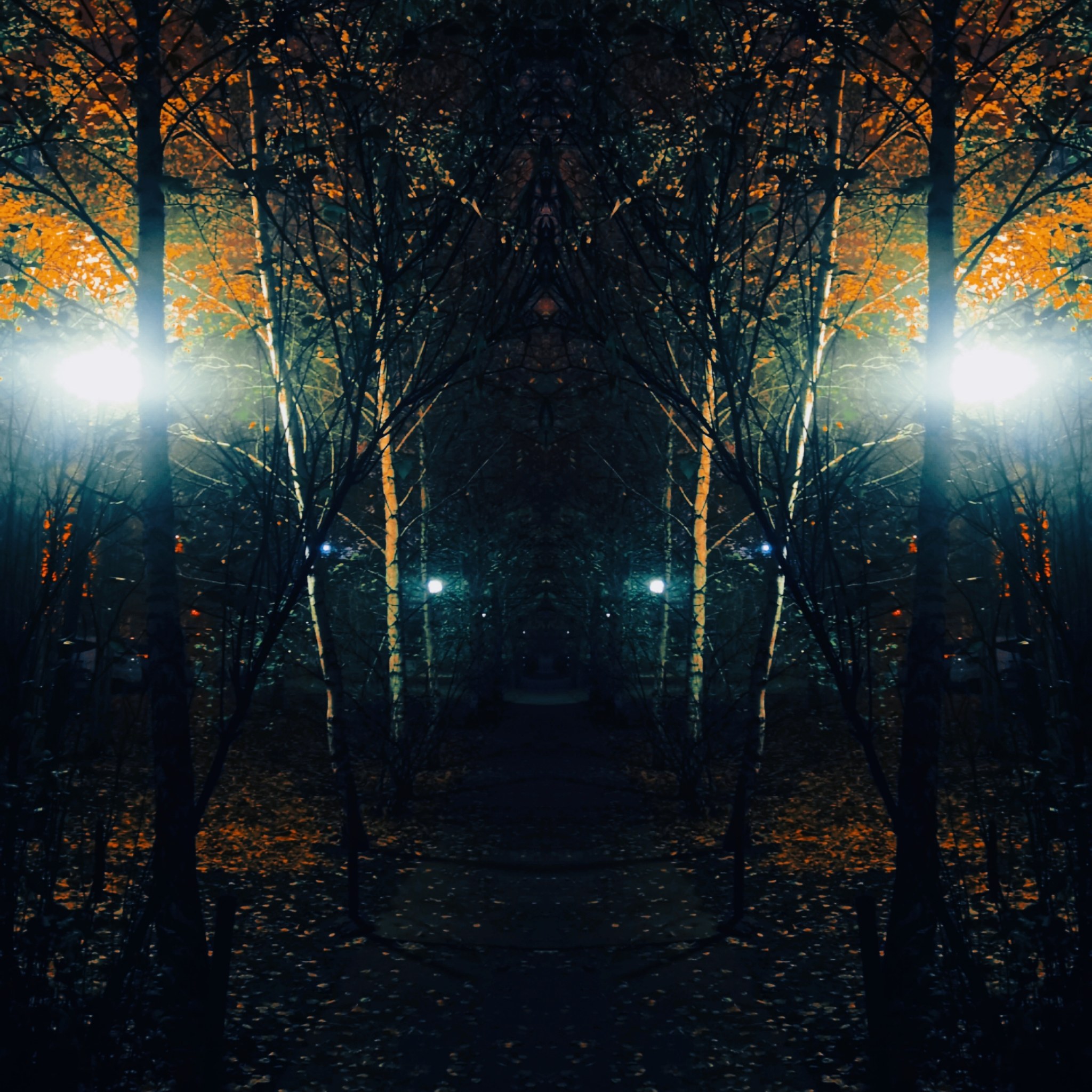 Inspired by darkness - The park, Autumn, Serials, Netflix, Darkness (TV series)