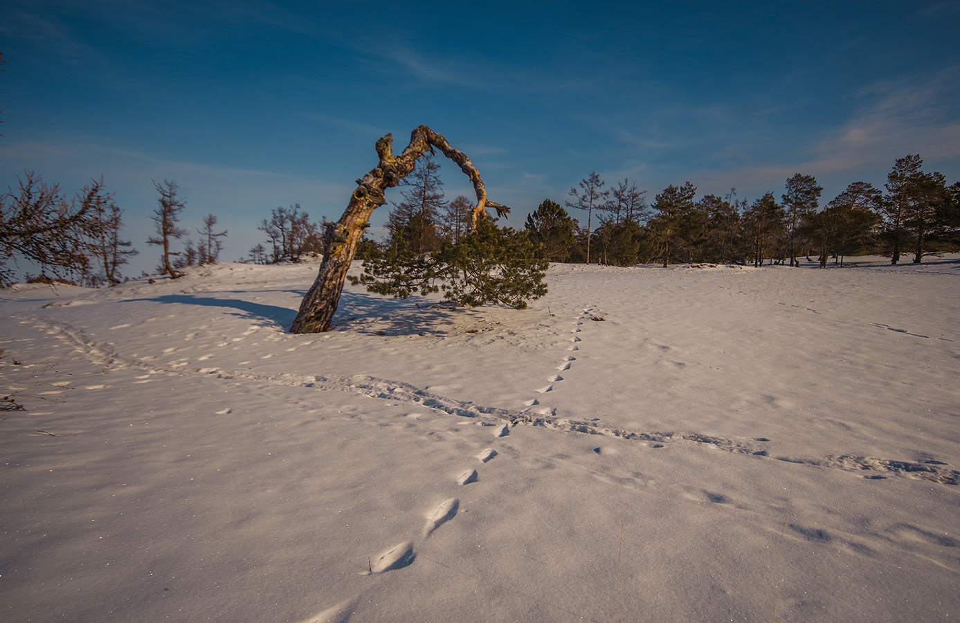 How people cheat on Lake Baikal - My, Baikal, Winter, Travels, Wild tourism, Holidays in Russia, Positive, Photo tour, Longpost