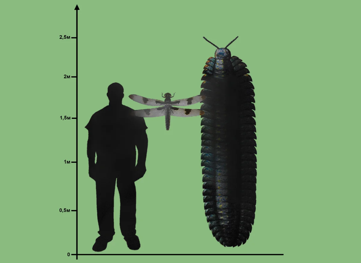 Arthropleura: Before dinosaurs there was even more tin. 2.5 meter armored centipede! - Arthropods, Centipede, Fossil, Animals, Yandex Zen, Longpost, Arthroplevra