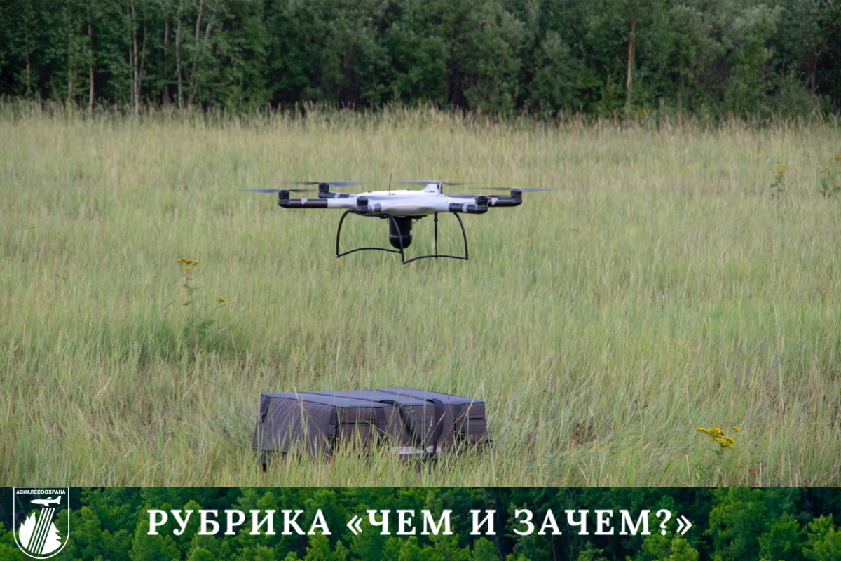 Unmanned aerial vehicles (UAVs) in protecting forests from fires - My, Drone, UAV ban, Drone, The future has come, Longpost