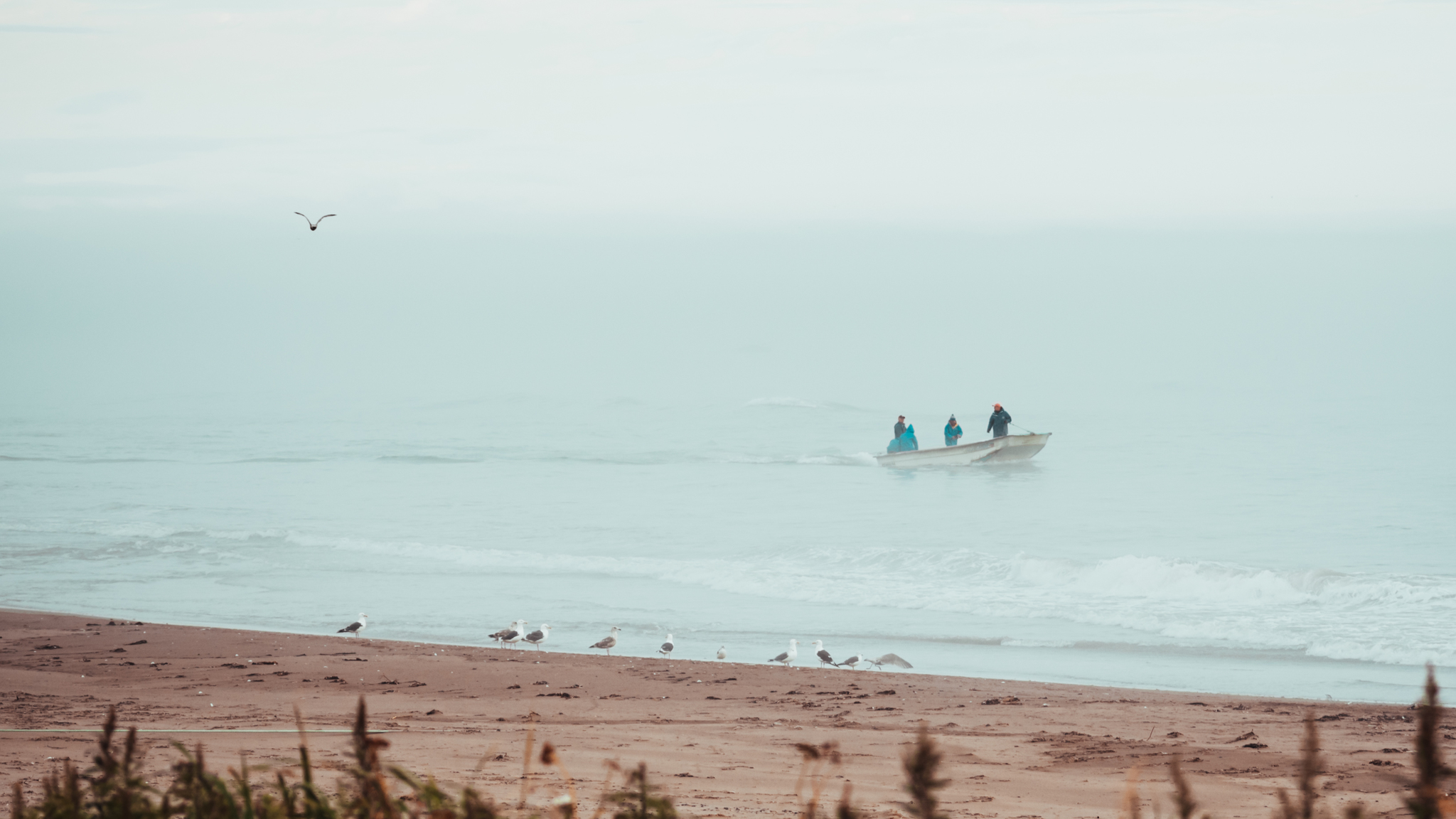 Foggy morning. Part two - My, Sea, Fog, Morning, Sakhalin, Nature, The mountains, Road, Atmosphere, Longpost