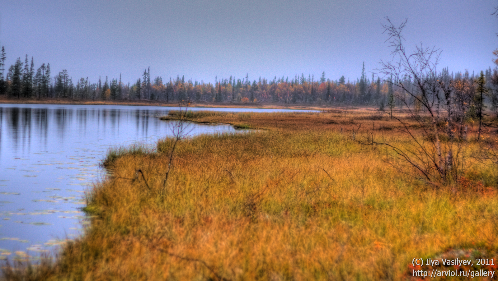 A little bit of autumn in the Arctic - My, Kola Peninsula, Kola Bay, Nature, The photo, Longpost