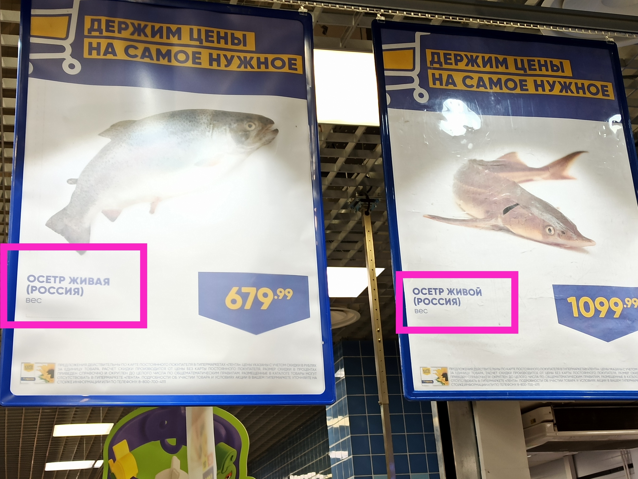 Meanwhile, in one of the supermarkets... - My, The gods of marketing, Marketing, Attentiveness, Typography, Hypermarket Tape, A fish, Sturgeon, Wrong price tags