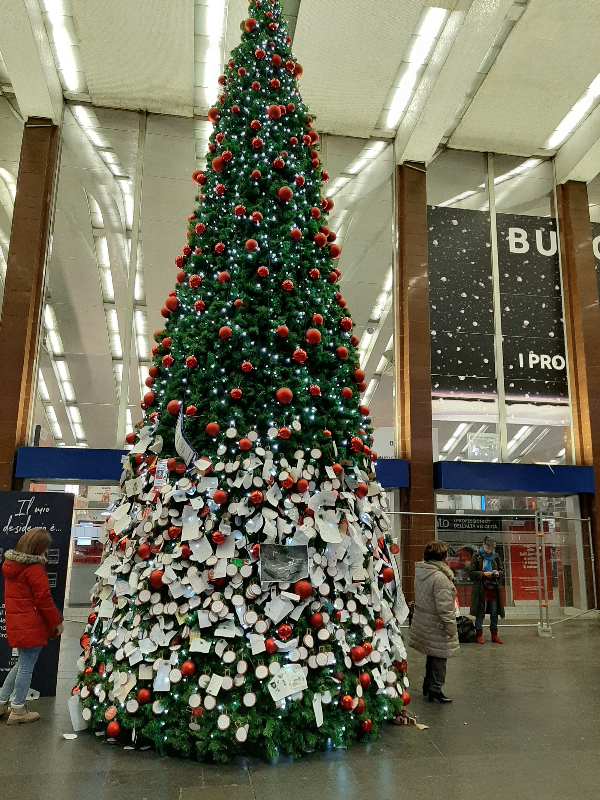 Modest Christmas trees in Europe - My, New Year, Christmas tree, Video, Longpost