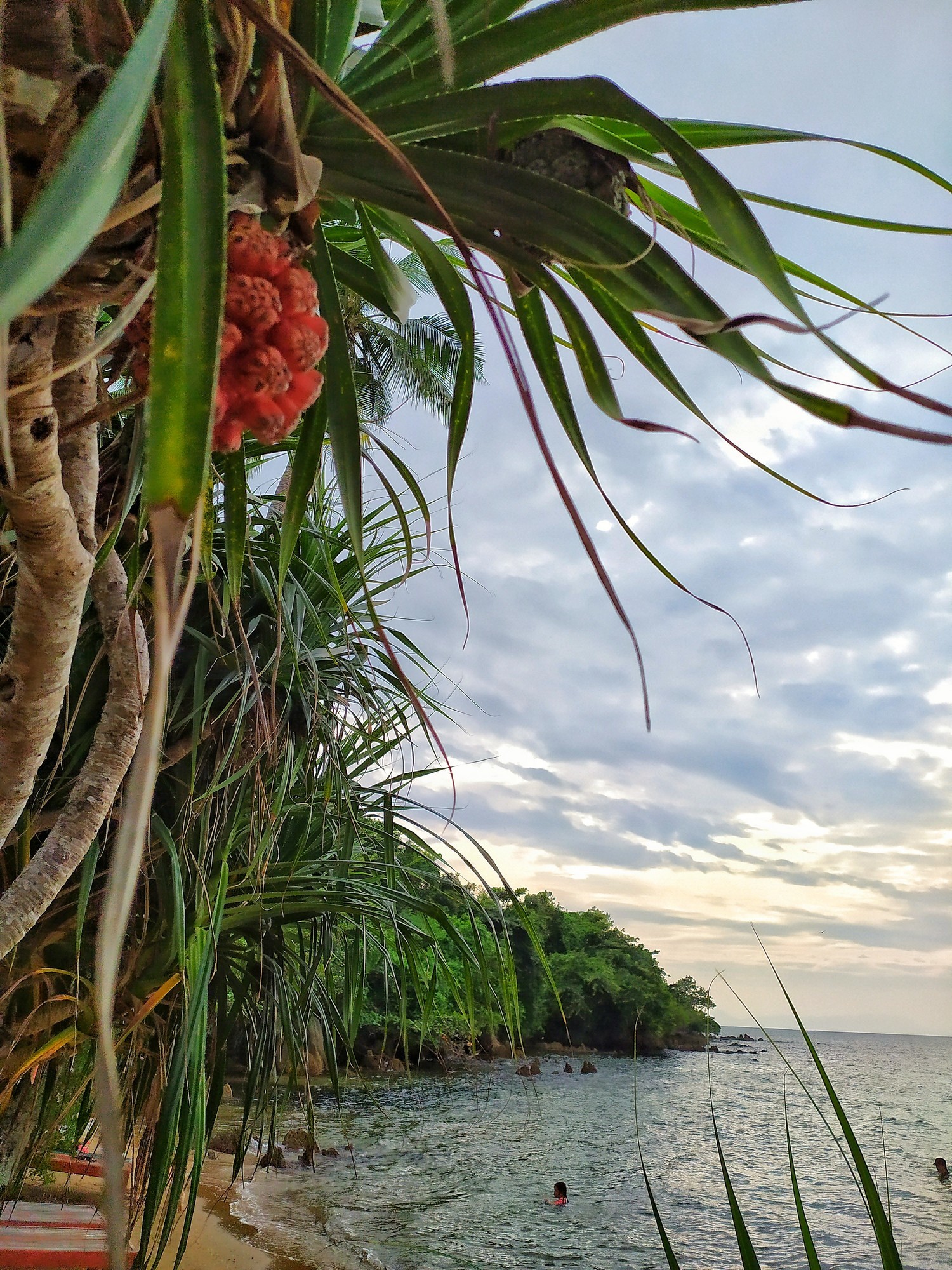 Marine photo sketch. Cambodia, Kep, Rabbit Island - My, Cambodia, Sea, Ocean, Camping, The photo, Longpost