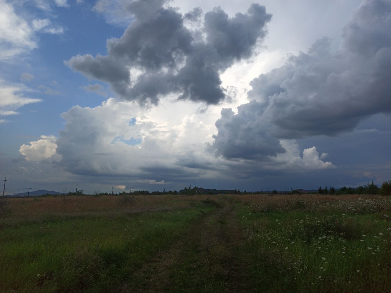 Ветрено - Фотография, Мобильная фотография, Поле, Небо, Облака, Горизонт, Фото на тапок, Закарпатье, Длиннопост