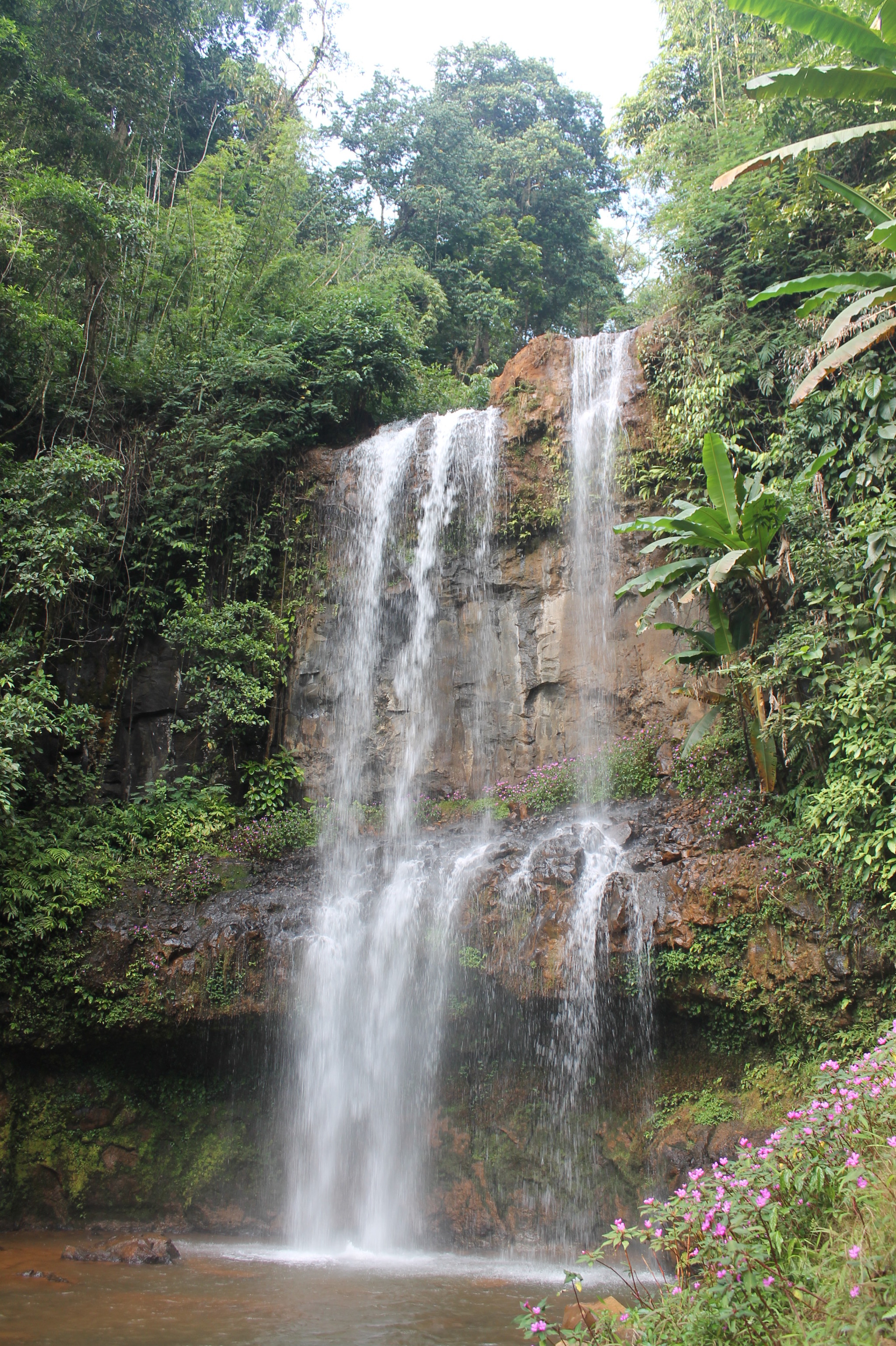 Dambri Park - waterfalls in the jungle. Vietnam - My, Vietnam, Asia, Travels, Nature, Longpost