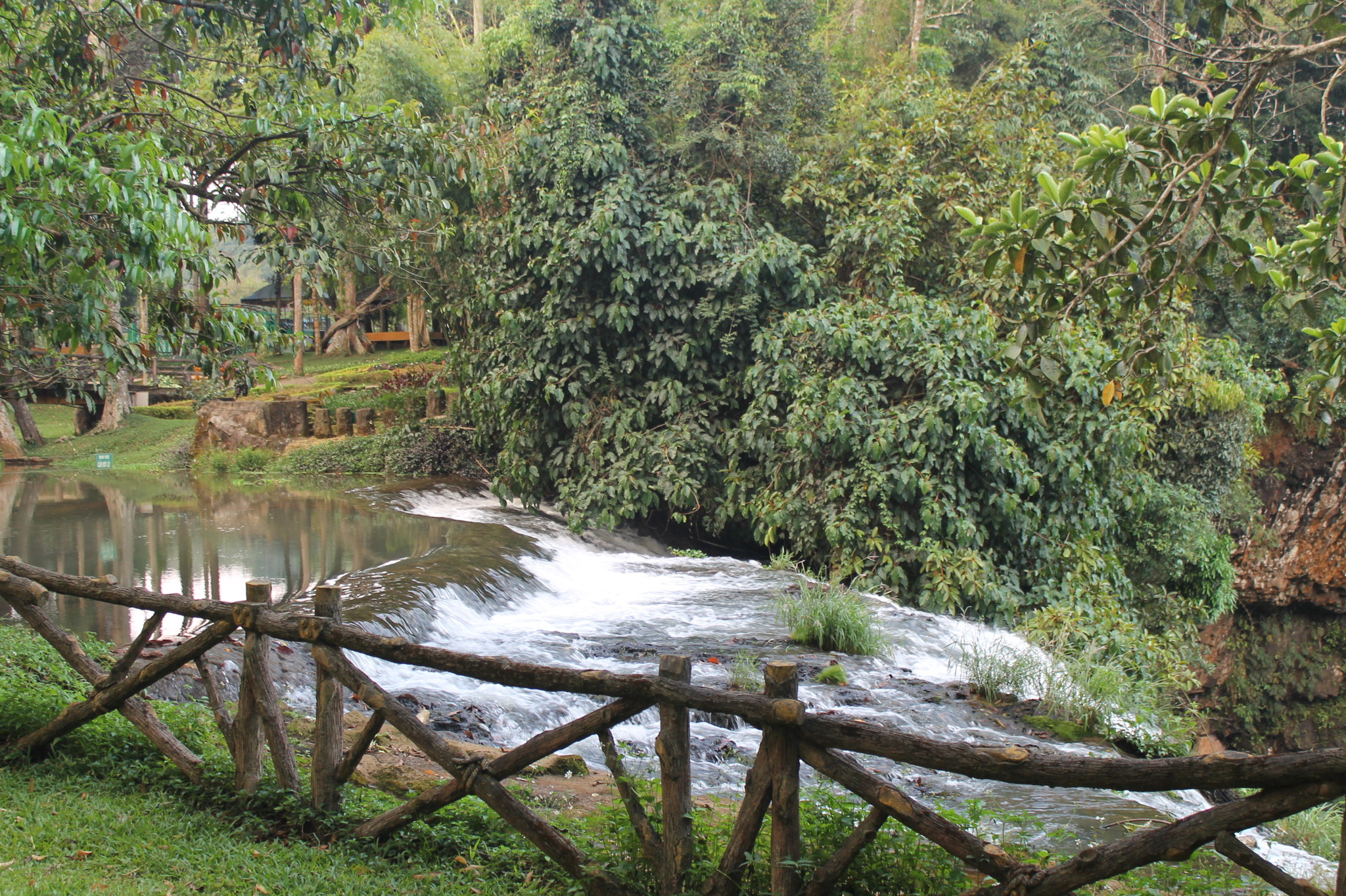 Dambri Park - waterfalls in the jungle. Vietnam - My, Vietnam, Asia, Travels, Nature, Longpost