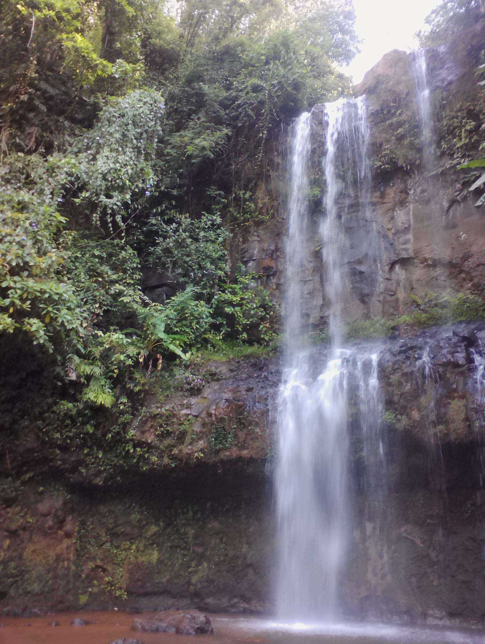 Dambri Park - waterfalls in the jungle. Vietnam - My, Vietnam, Asia, Travels, Nature, Longpost