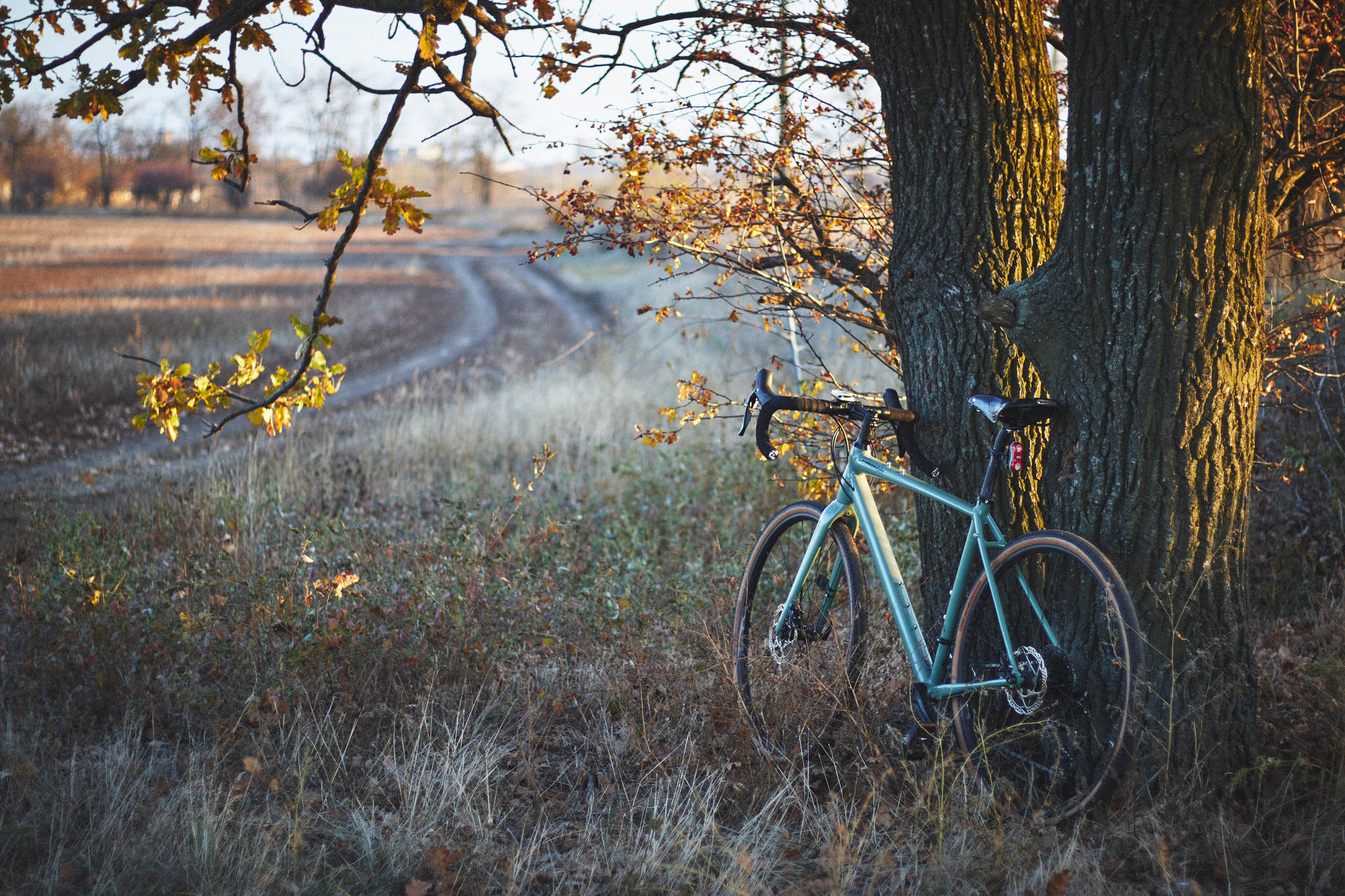 Autumn weekend ride - My, Autumn, A bike, Pokatushki, Nature, The photo, Longpost