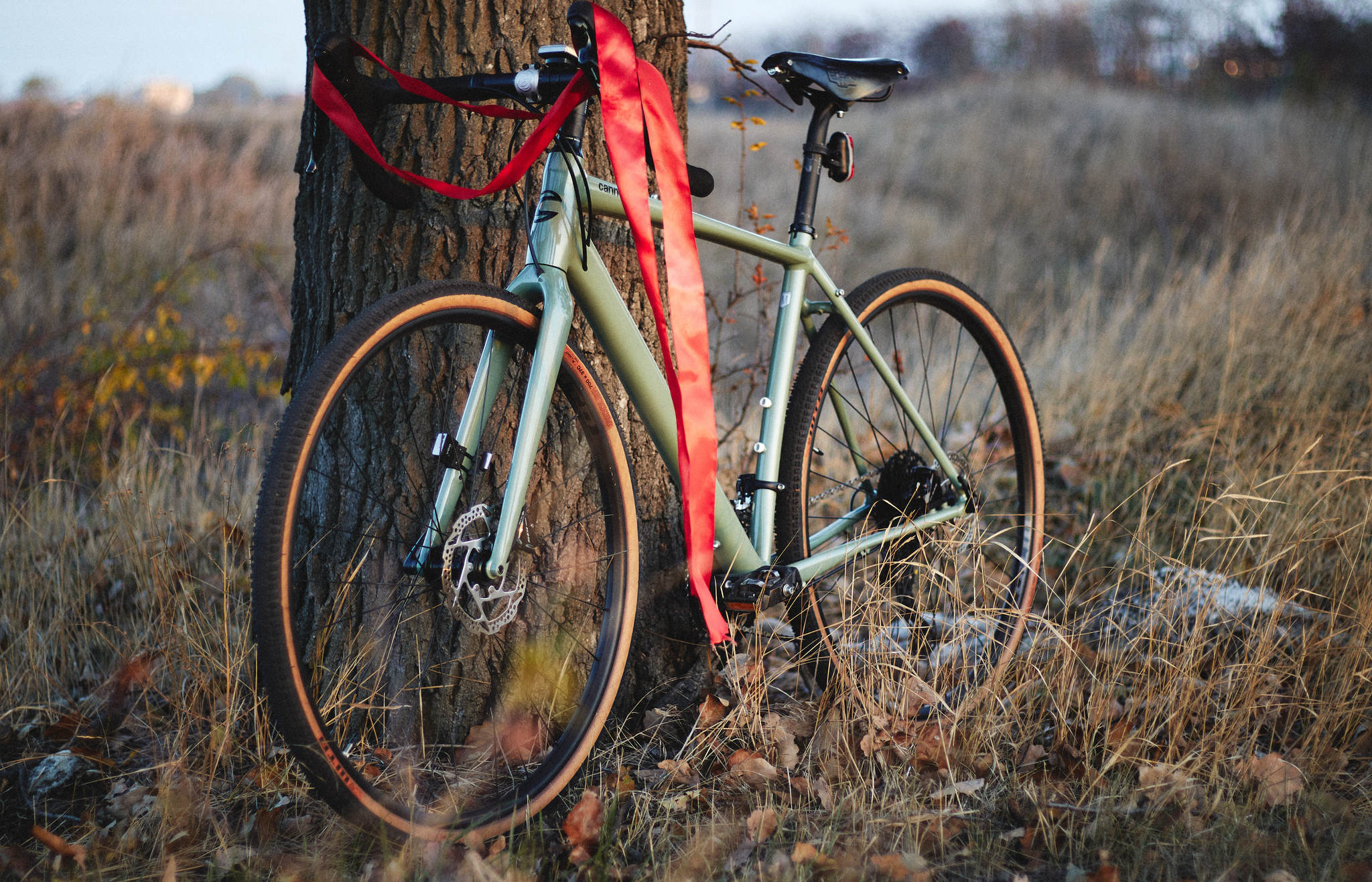 Autumn weekend ride - My, Autumn, A bike, Pokatushki, Nature, The photo, Longpost