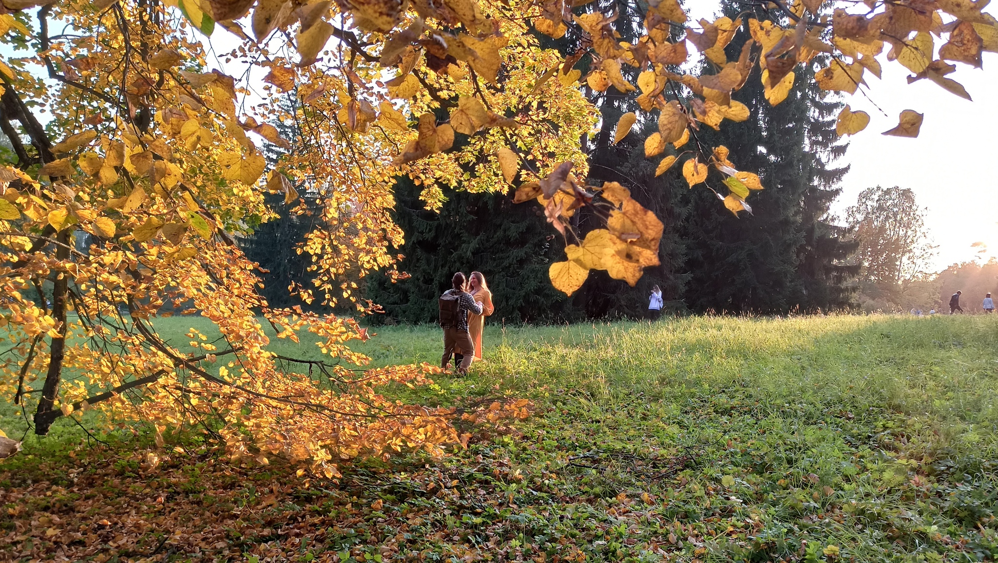 Reply to the post “Heroes of the photo, find yourself! :) - My, Nature, Saint Petersburg, The photo, Search