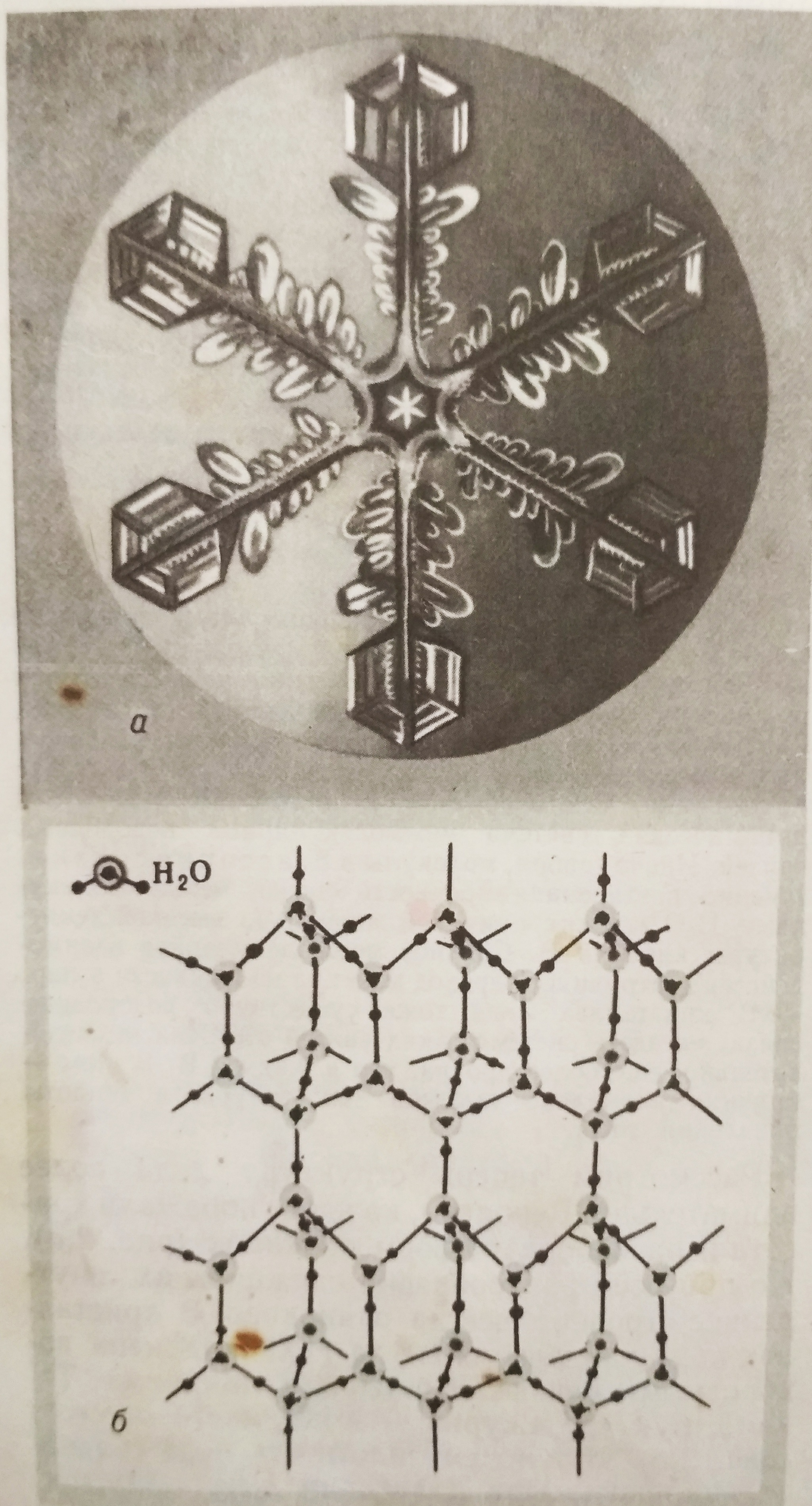 Water. It would seem, what could be simpler? - Water, Informative, The science, Longpost, Chemistry, Great Soviet Encyclopedia