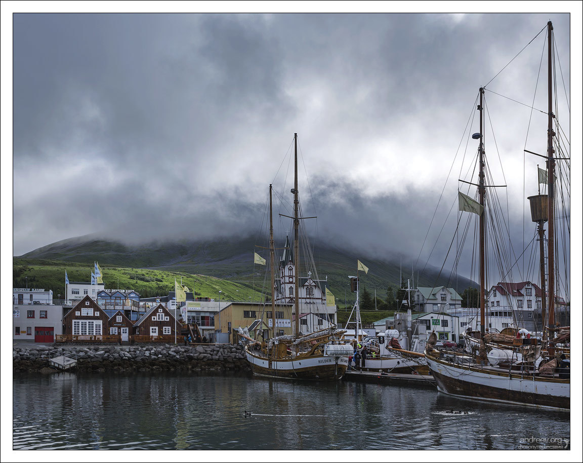 Nauseous cruise - My, Iceland, Whale, Cruise, Cruise history, Longpost