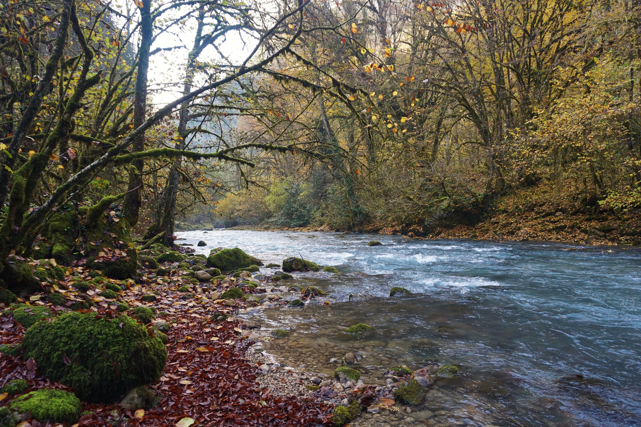 Горные реки Абхазии