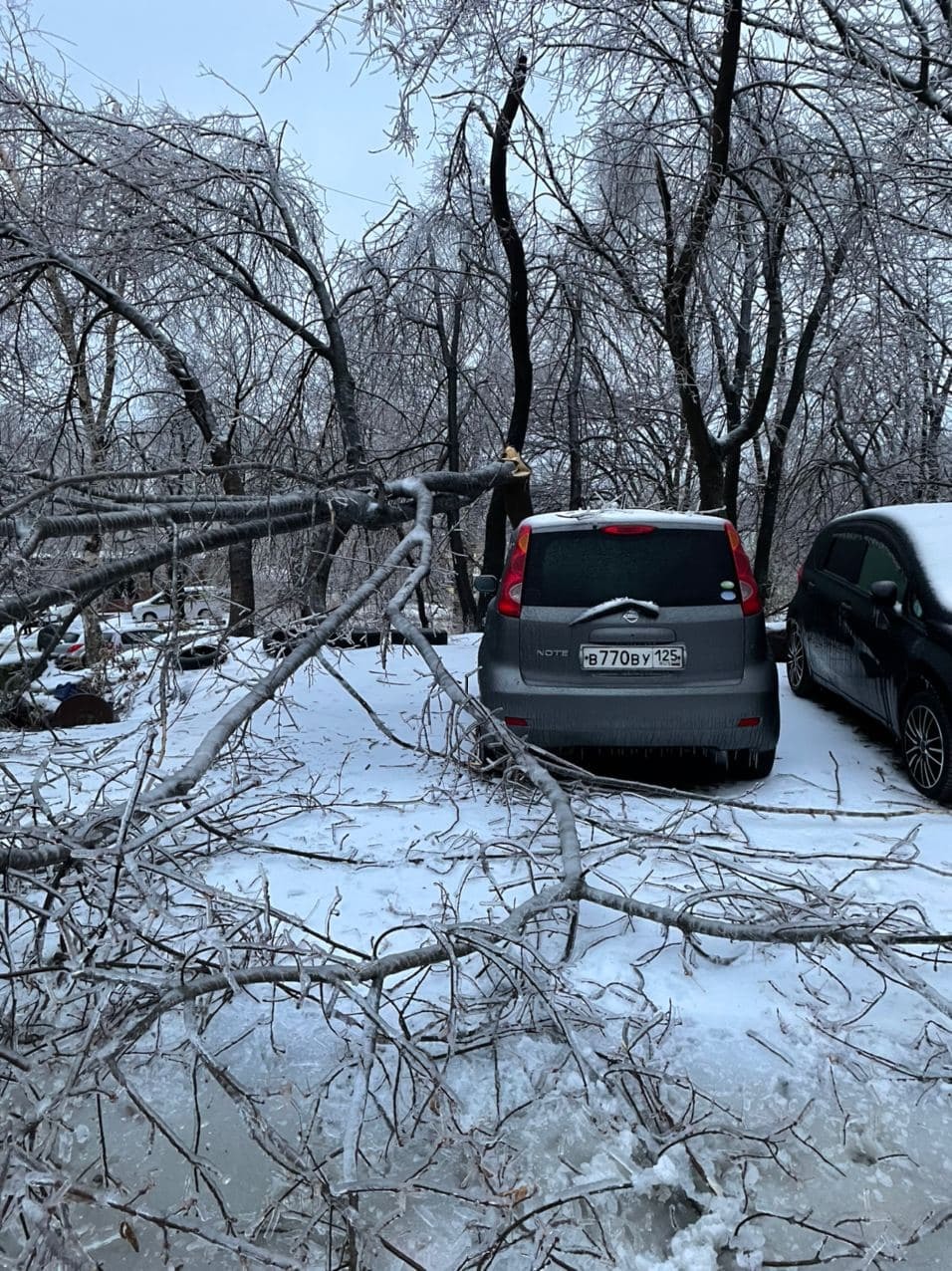 Ибо наступит век Меча и Топора, век Волчьей Пурги. Придет Час Белого Хлада и Белого Света! - Снег, Лед, Гололед, Владивосток, Плохая погода, Апокалипсис, Длиннопост