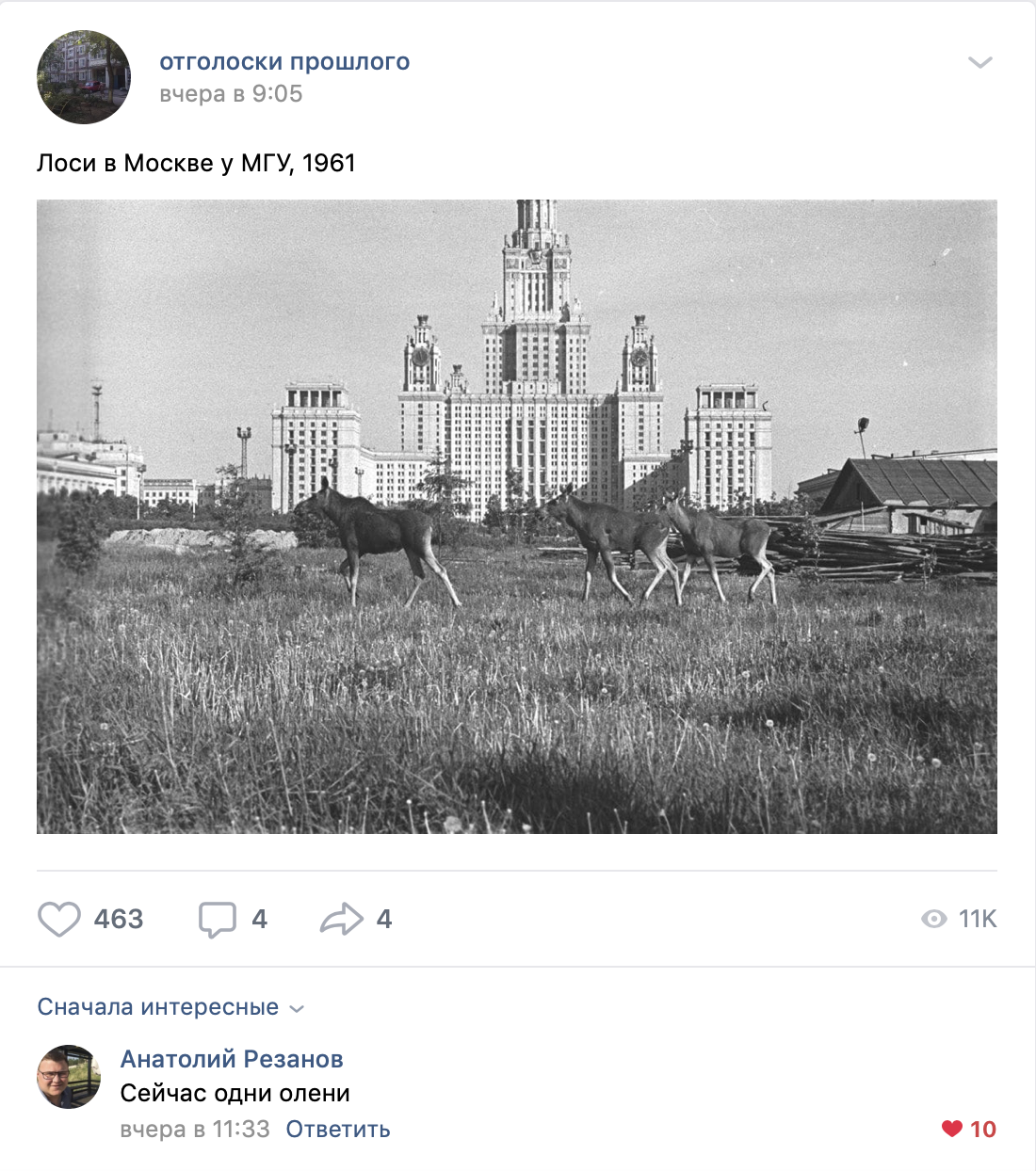 Horned ones at Moscow State University - MSU, Deer, Elk, Comments, Old photo, It used to be better